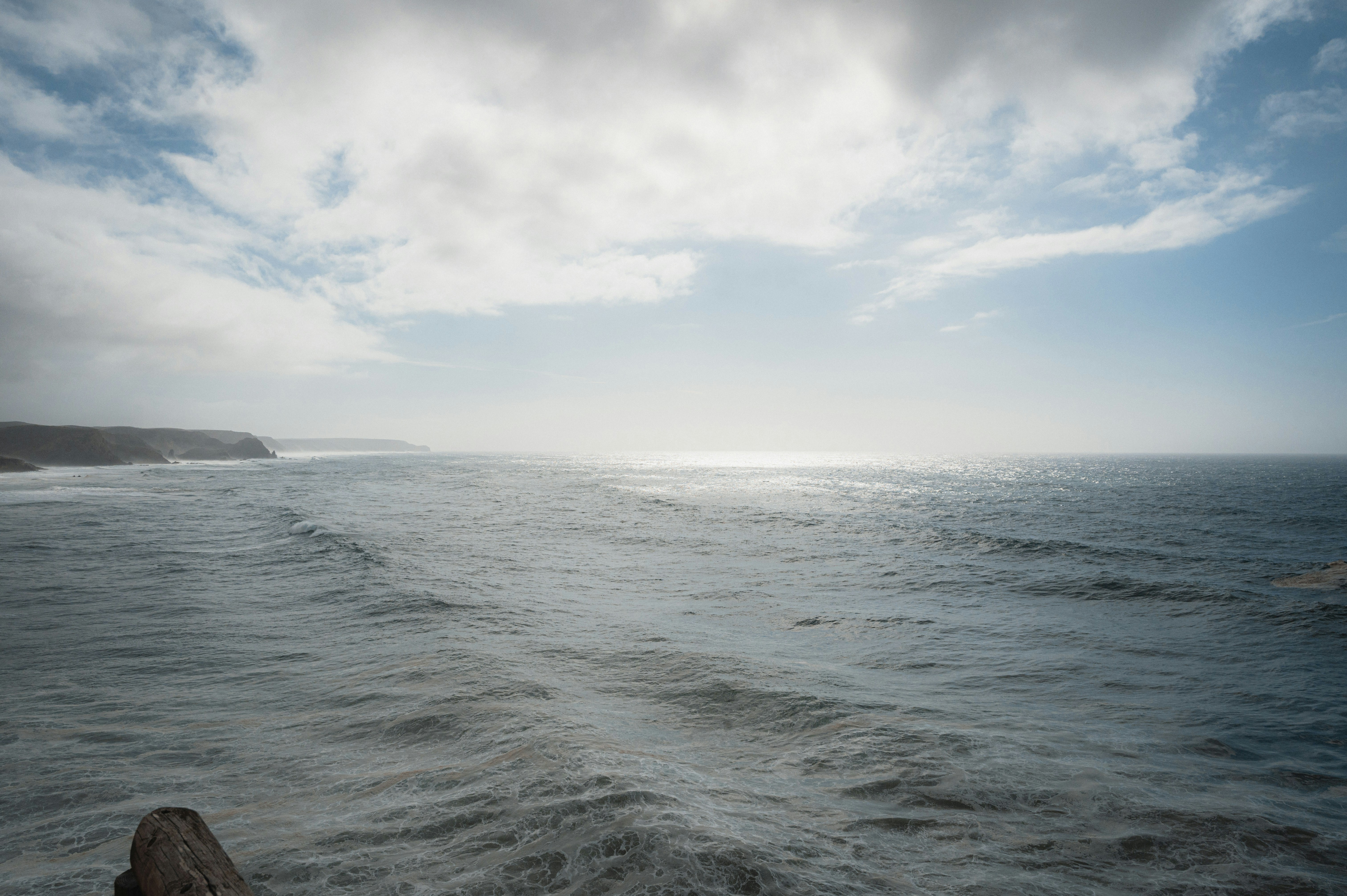 Photo by luca_severin