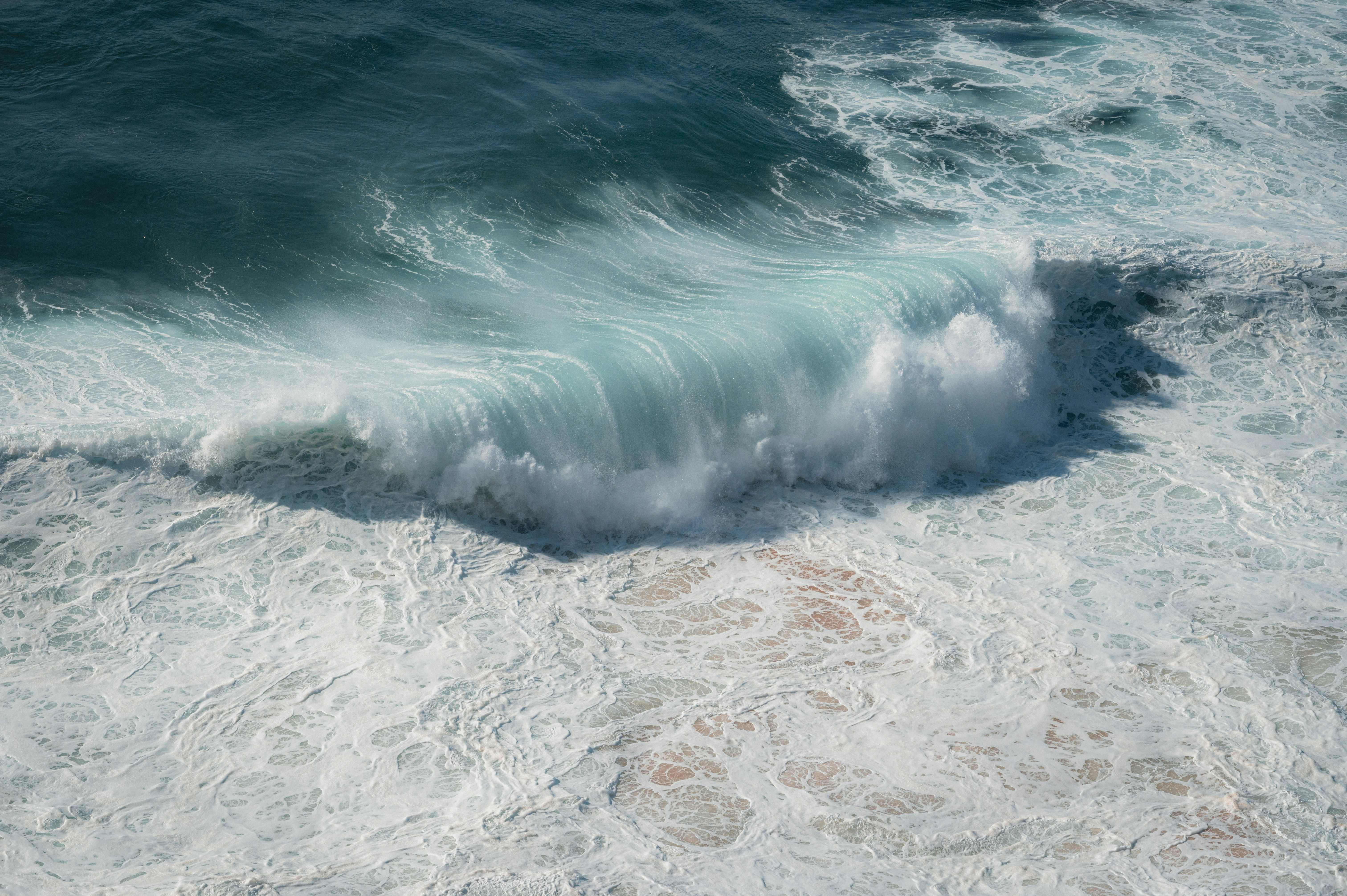 Photo by luca_severin