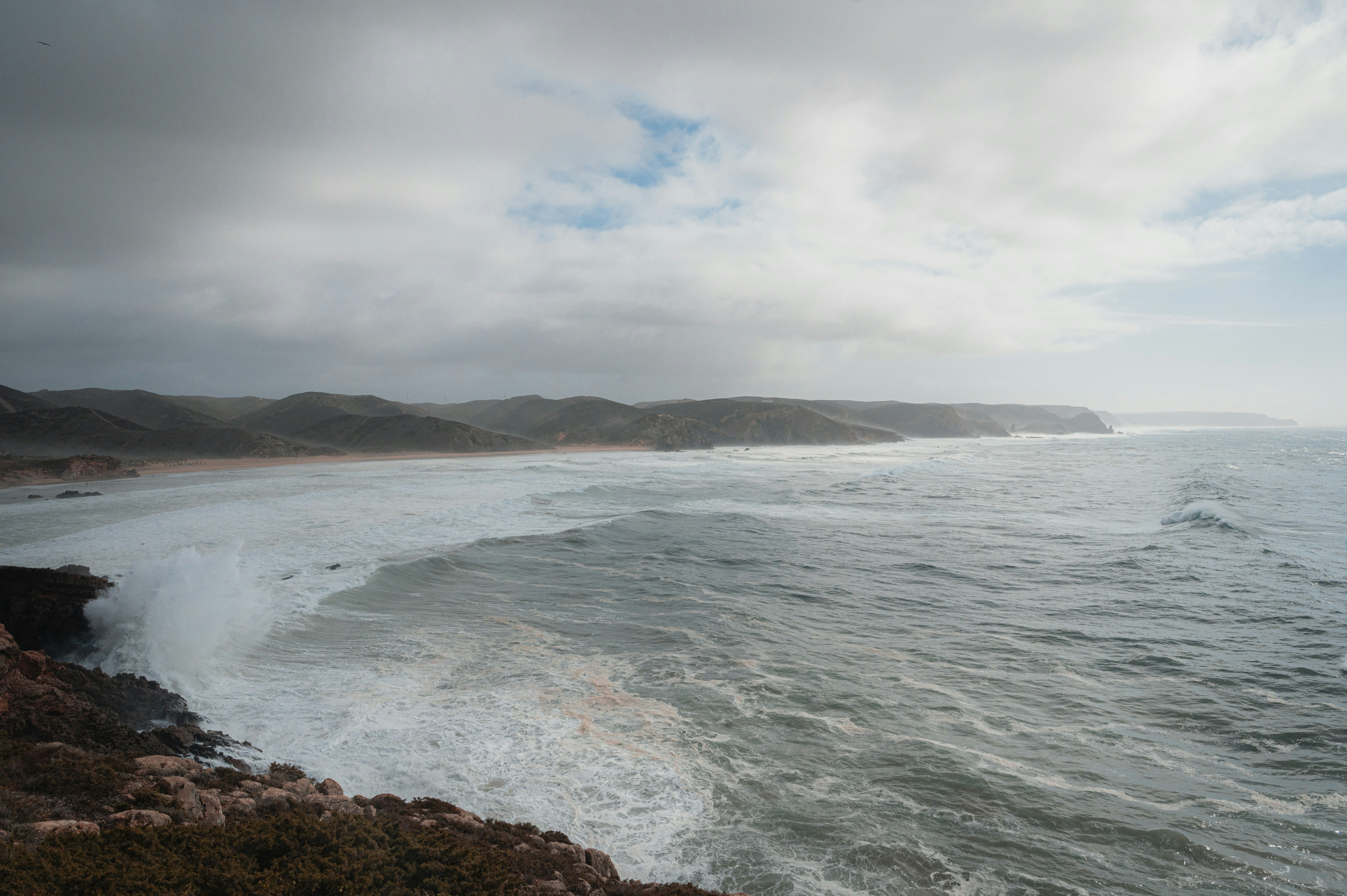 Photo by luca_severin