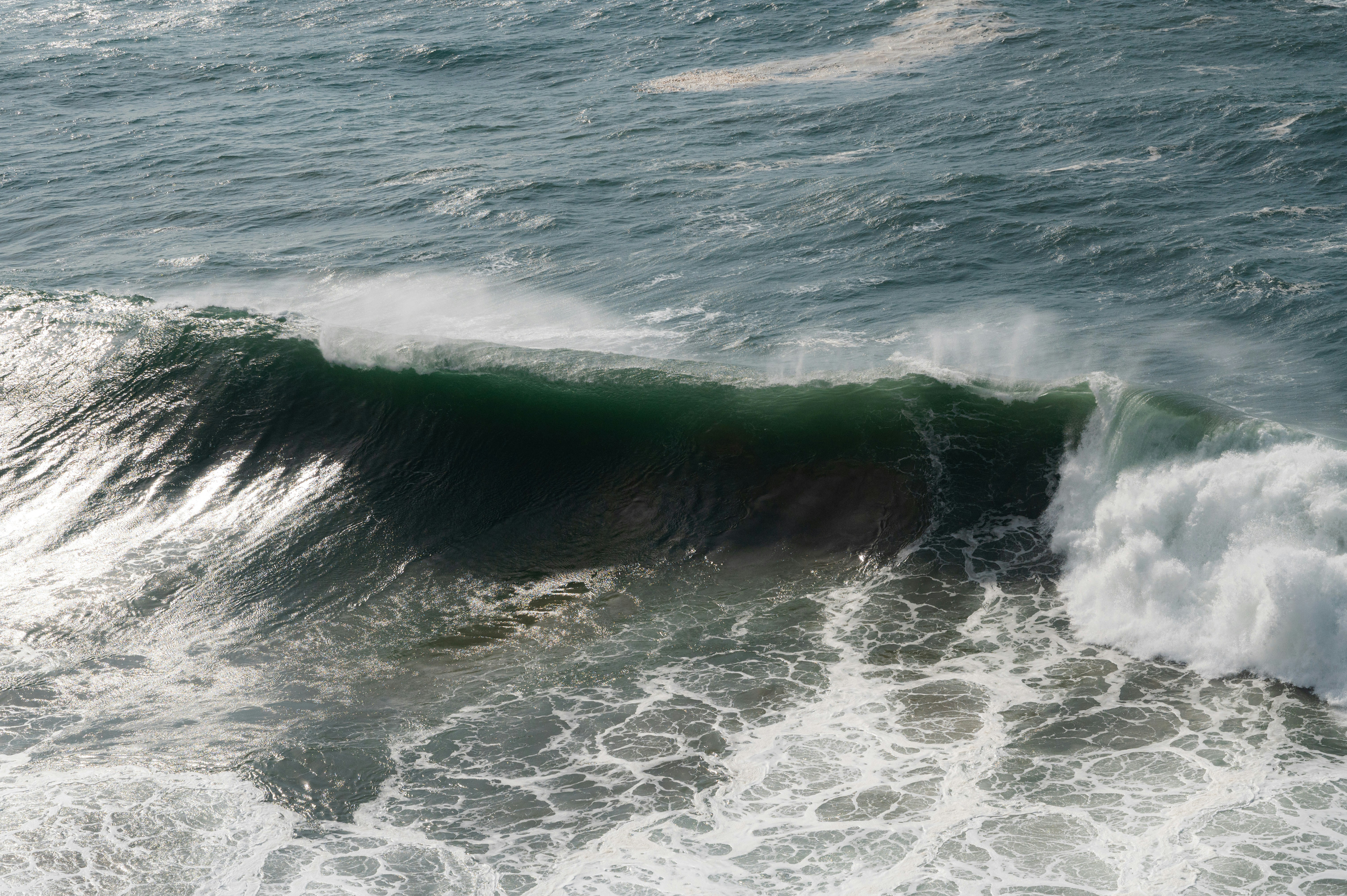 Photo by luca_severin