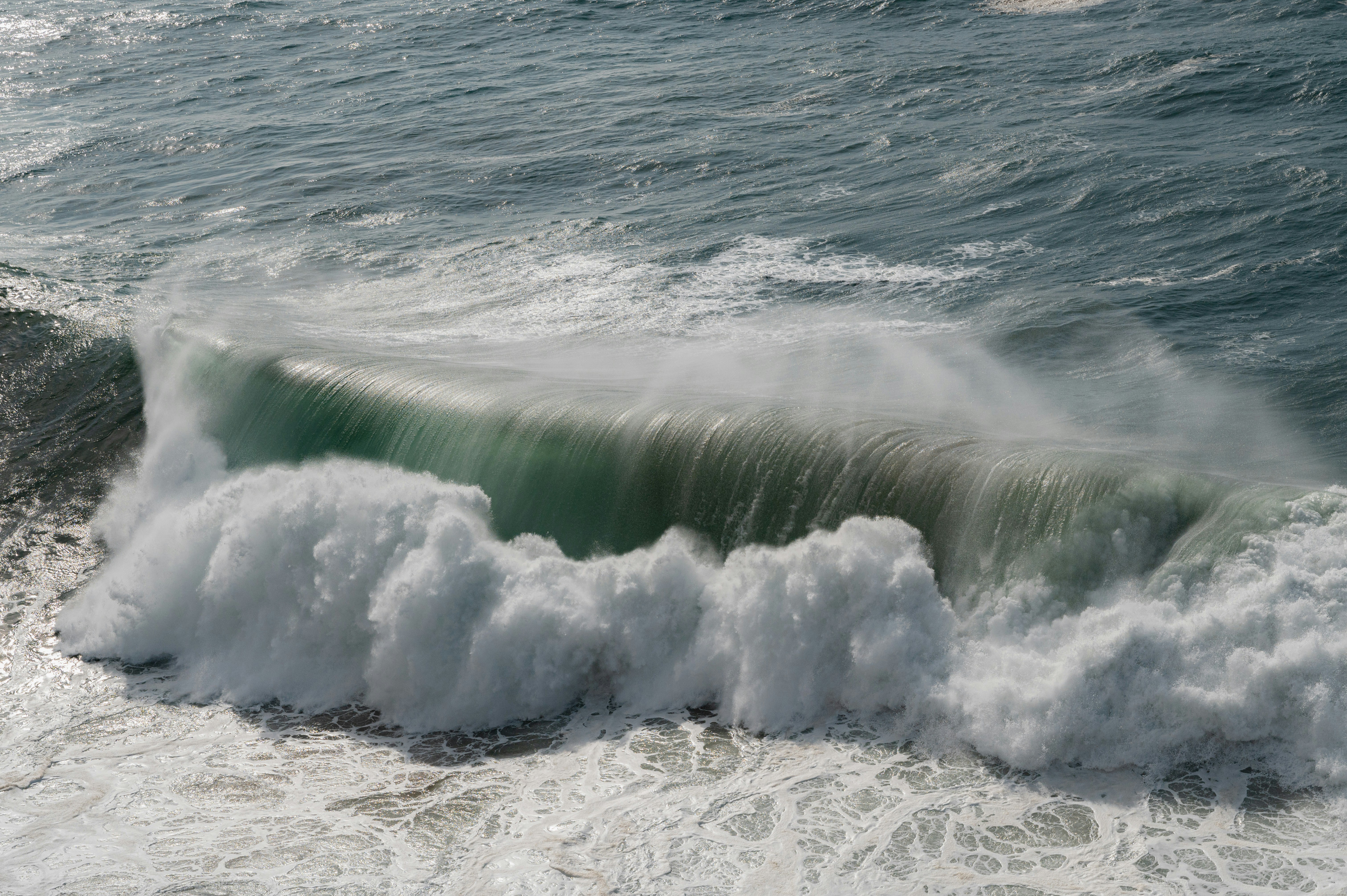 Photo by luca_severin