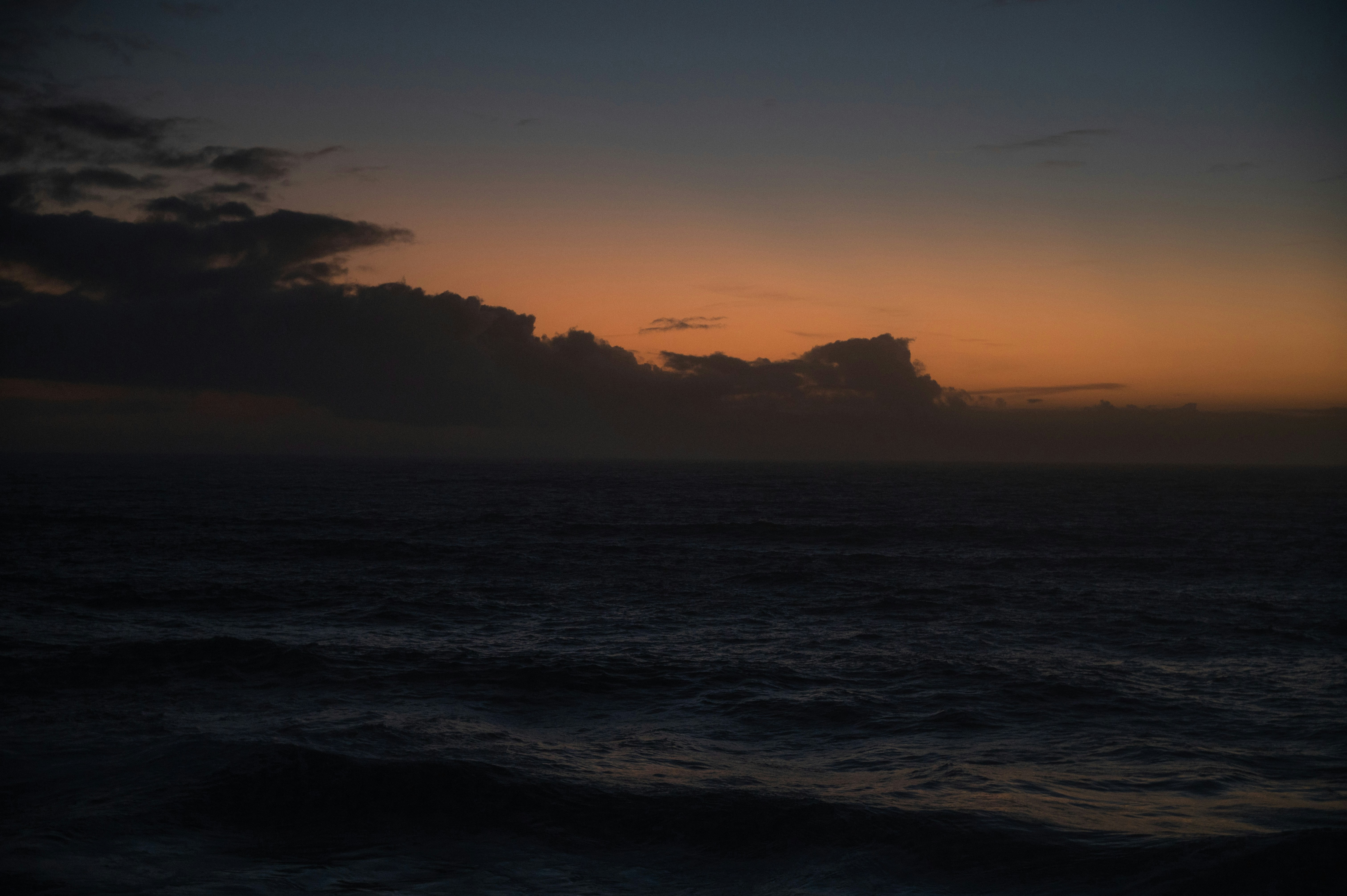 Photo by luca_severin