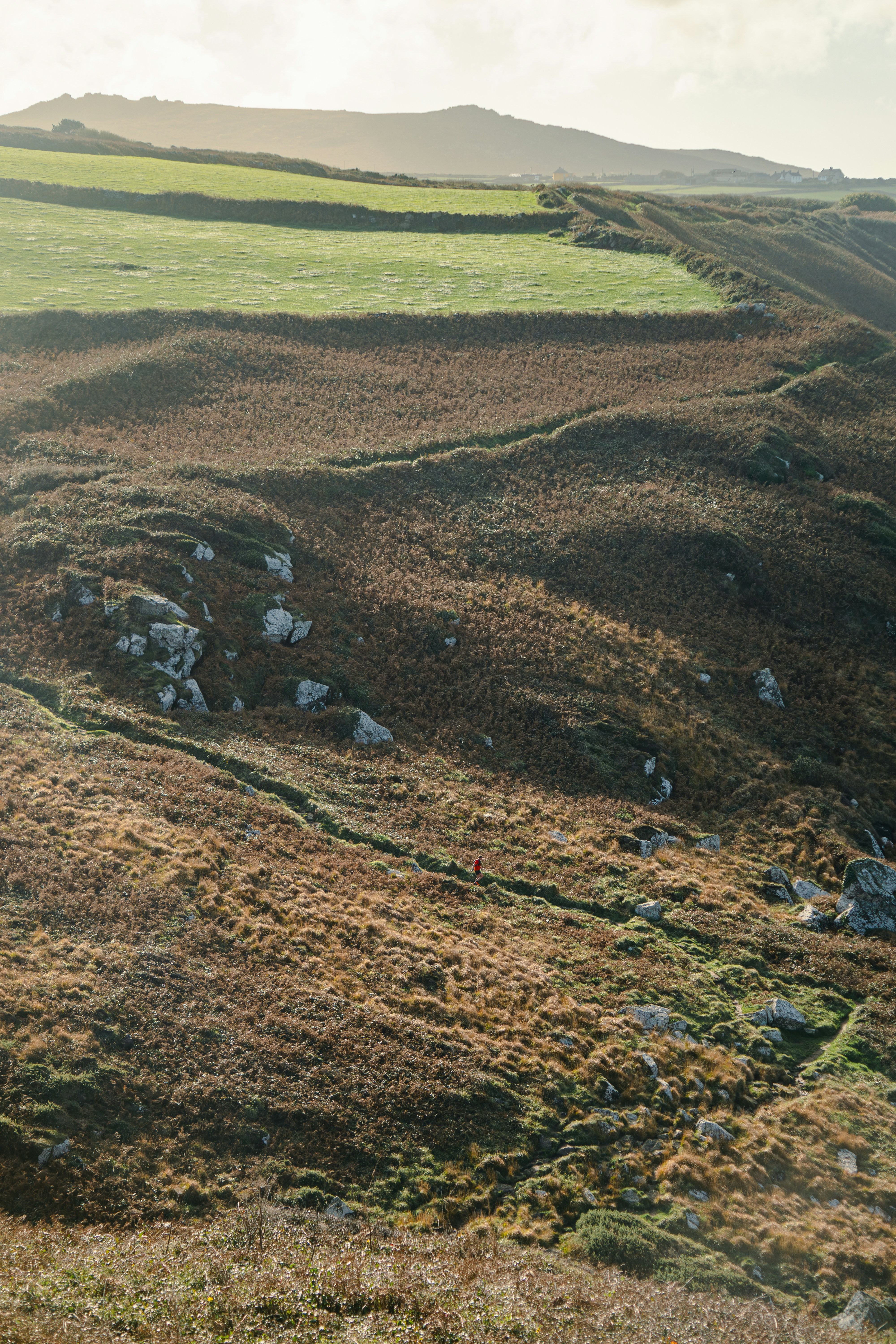 A couple of sheep standing on top of a lush green hillside