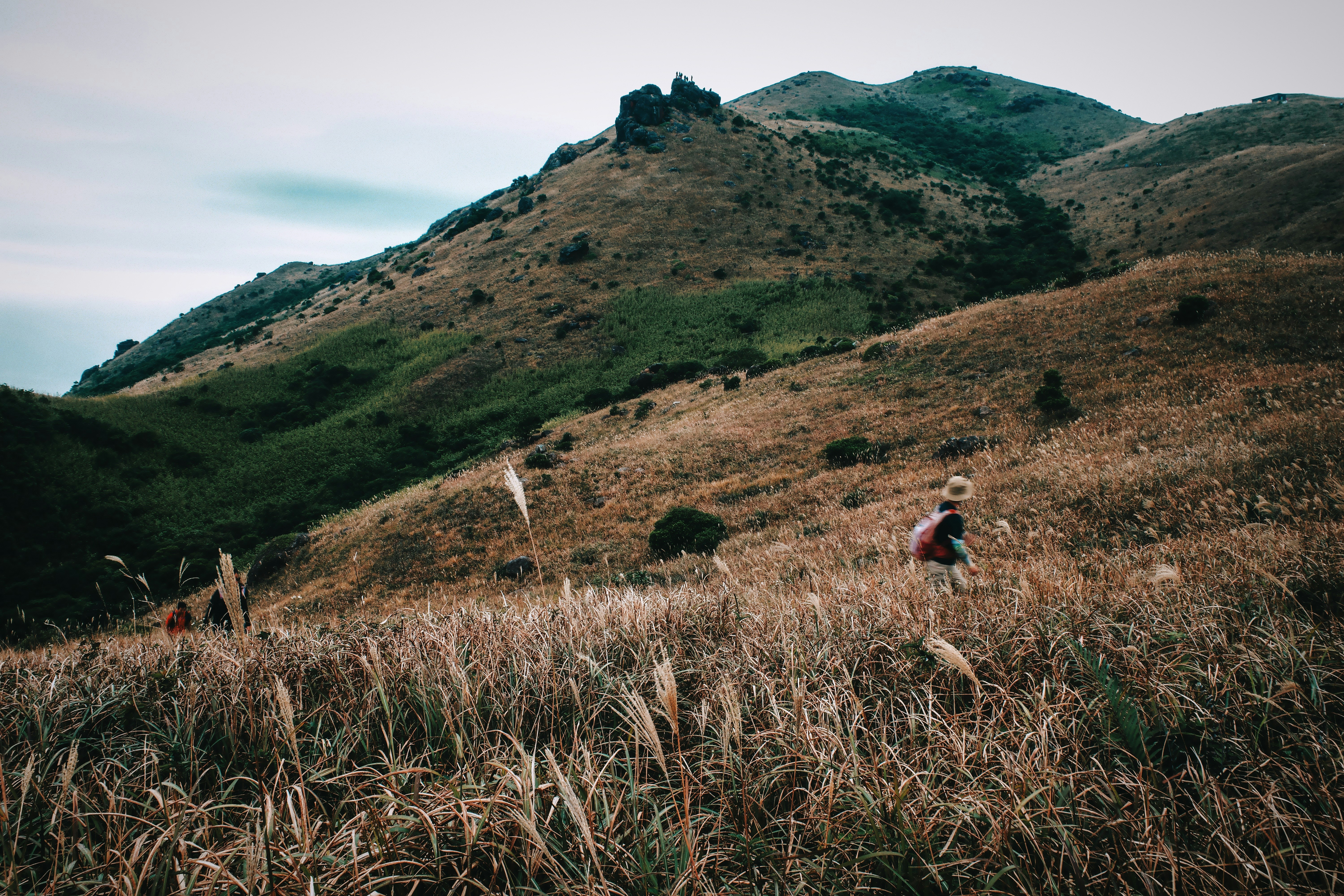 Photo by dickenslin76