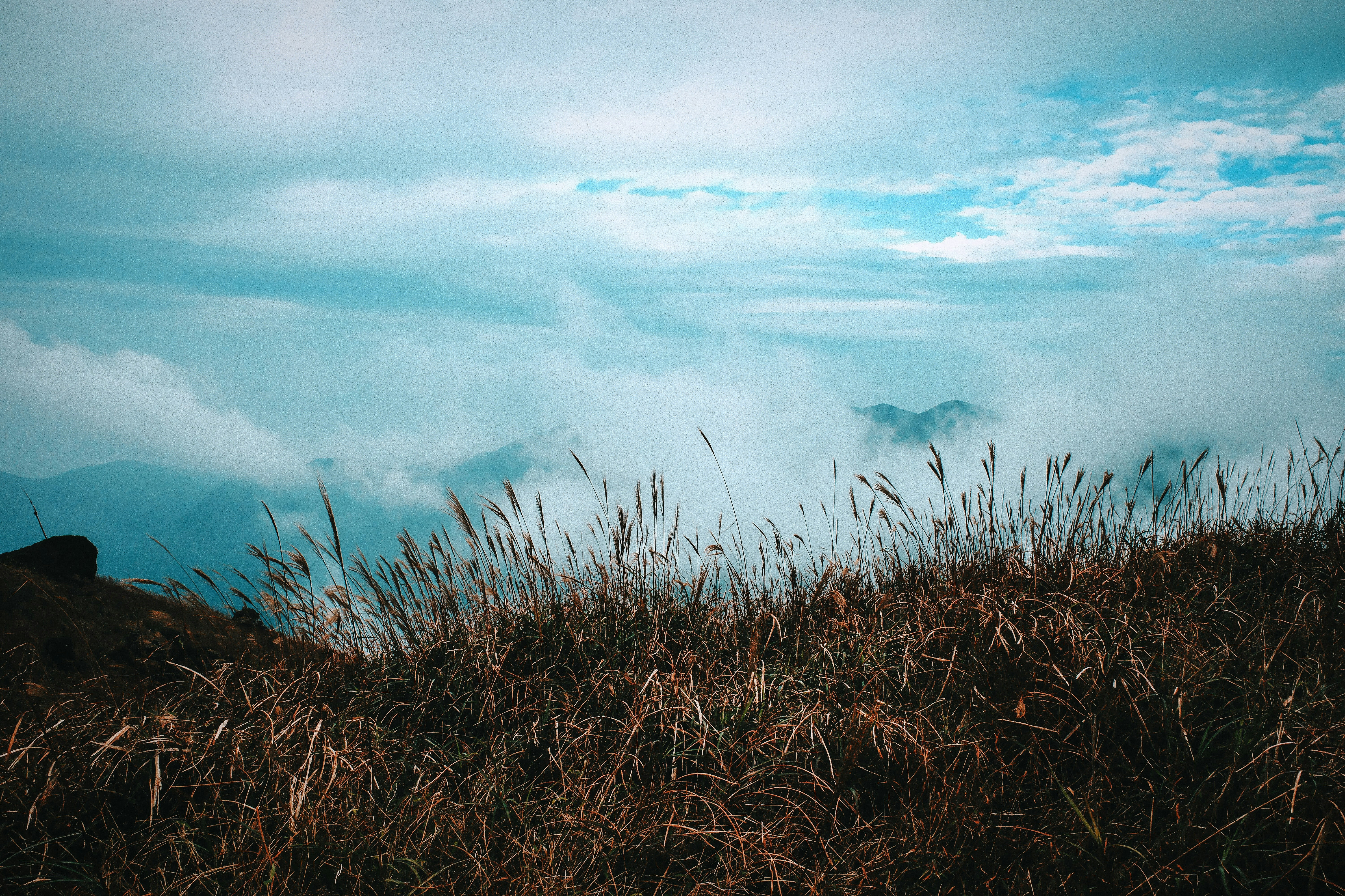 Photo by dickenslin76