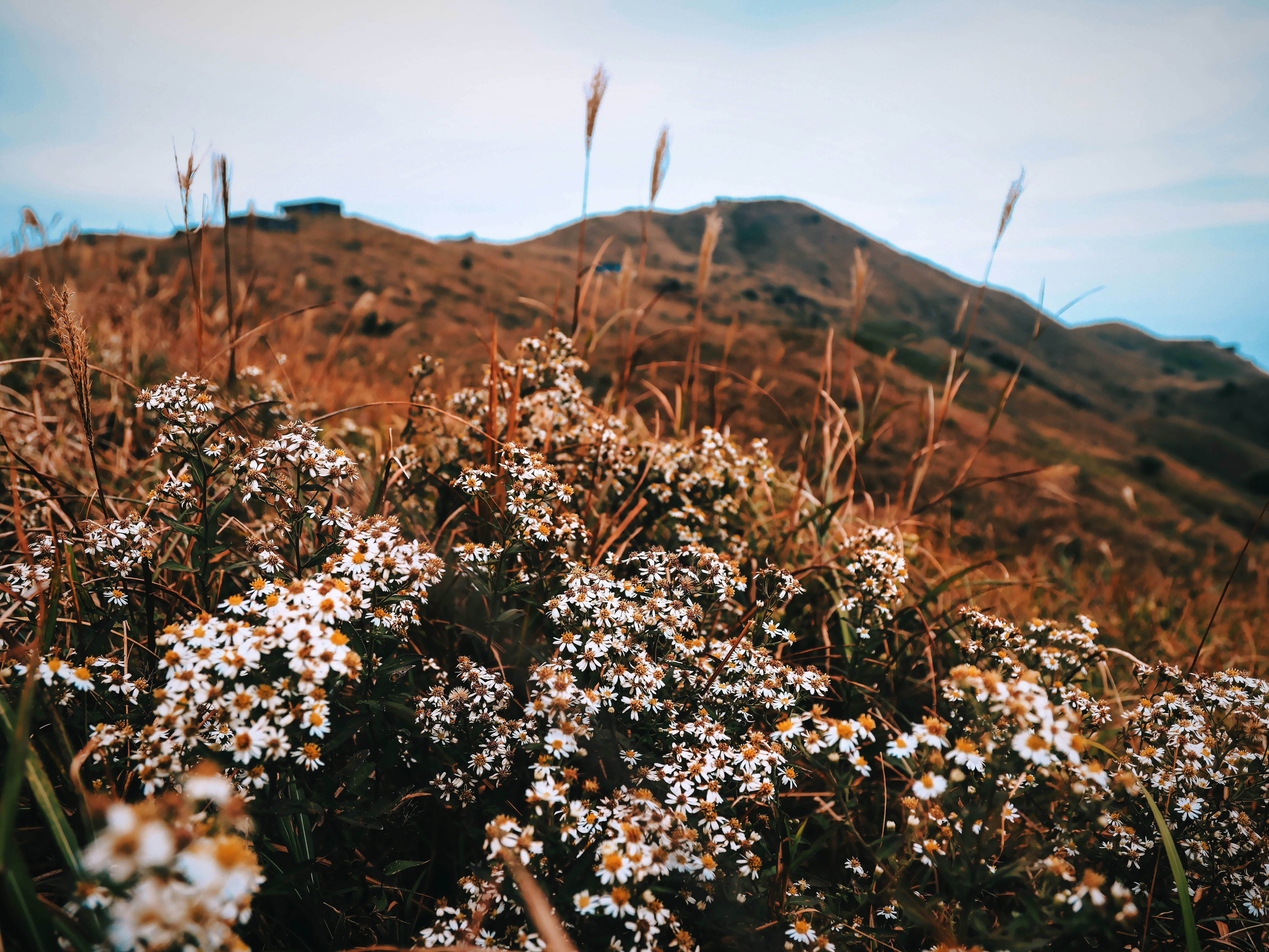 Photo by dickenslin76