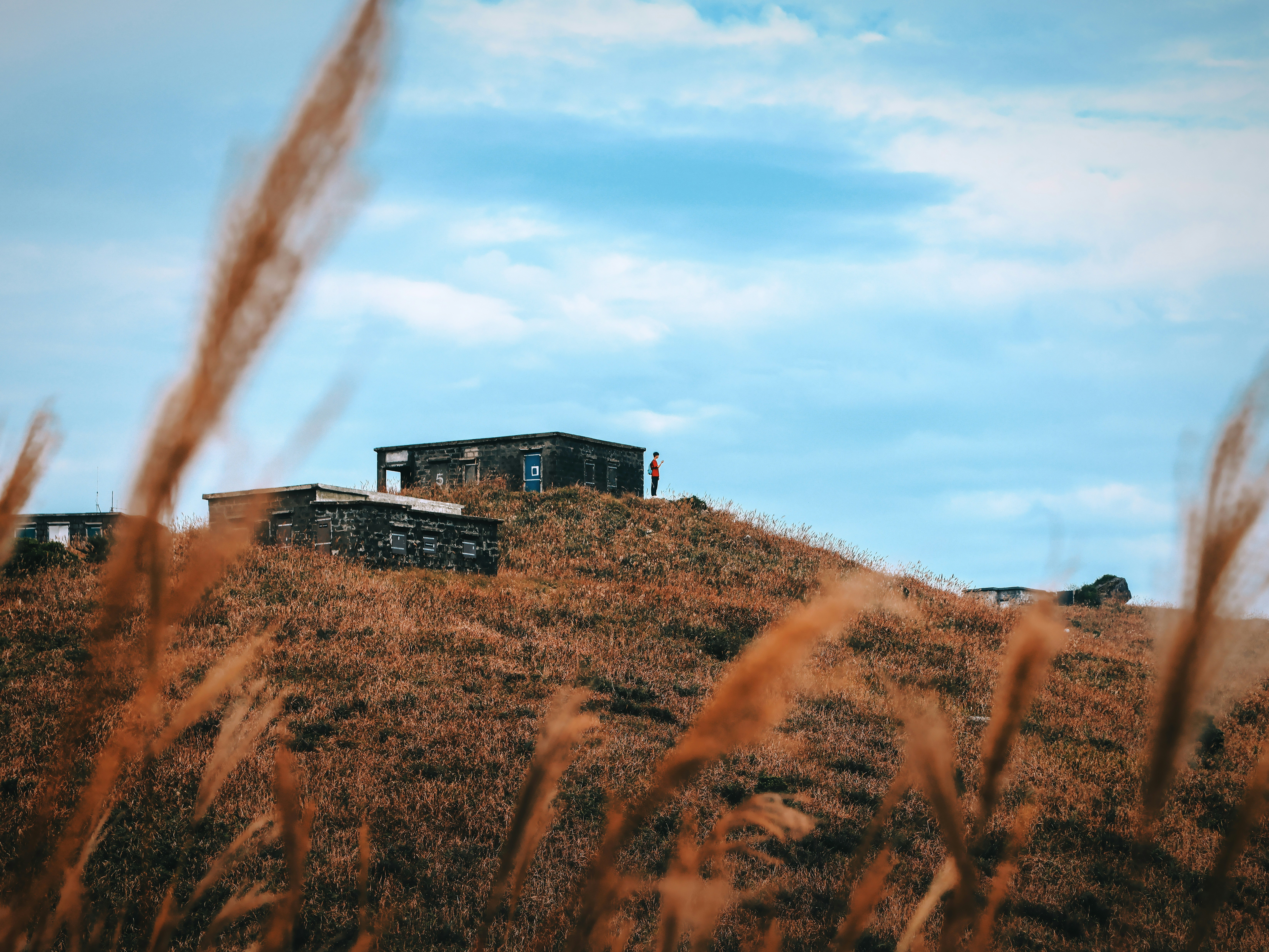 Photo by dickenslin76