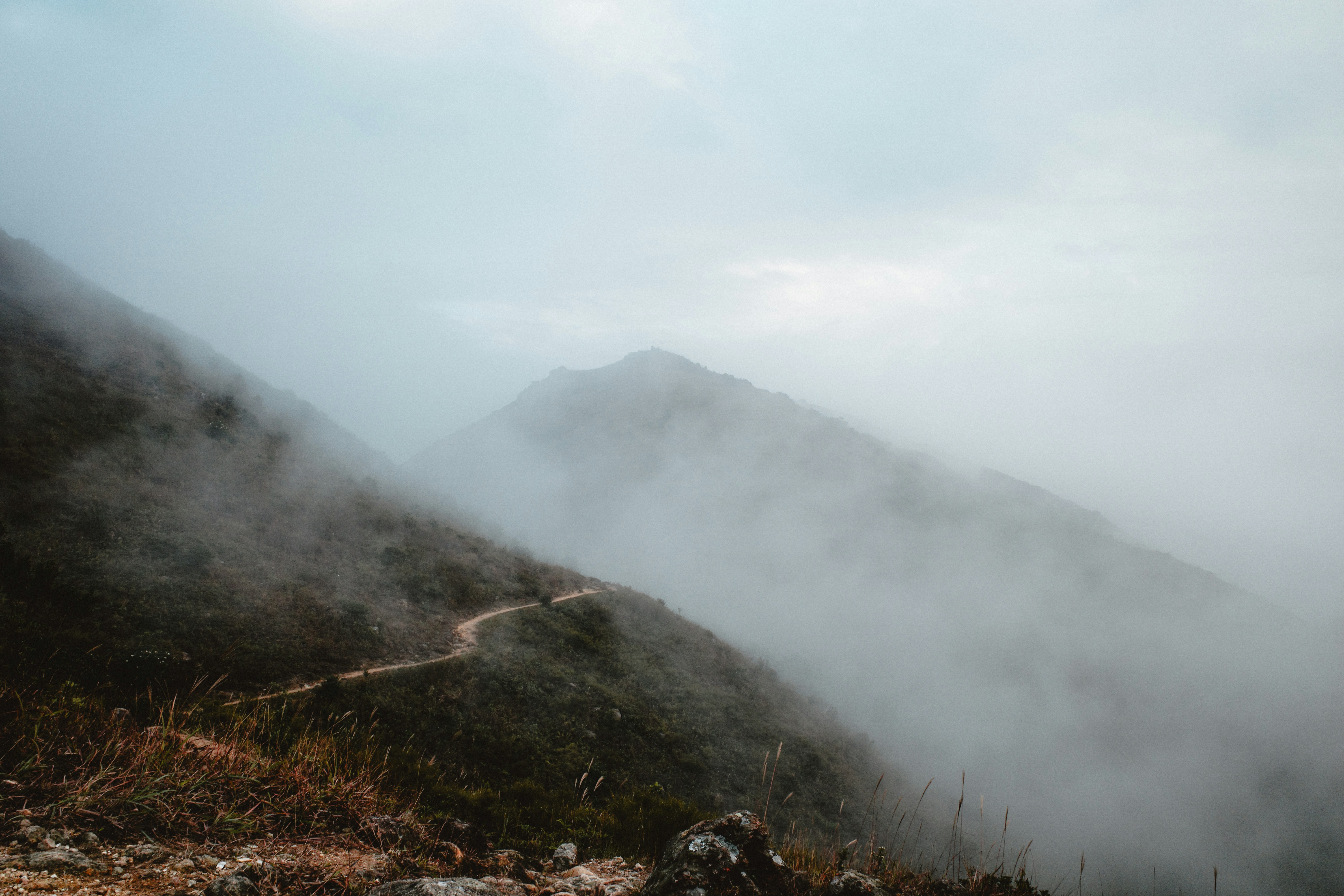 Photo by dickenslin76