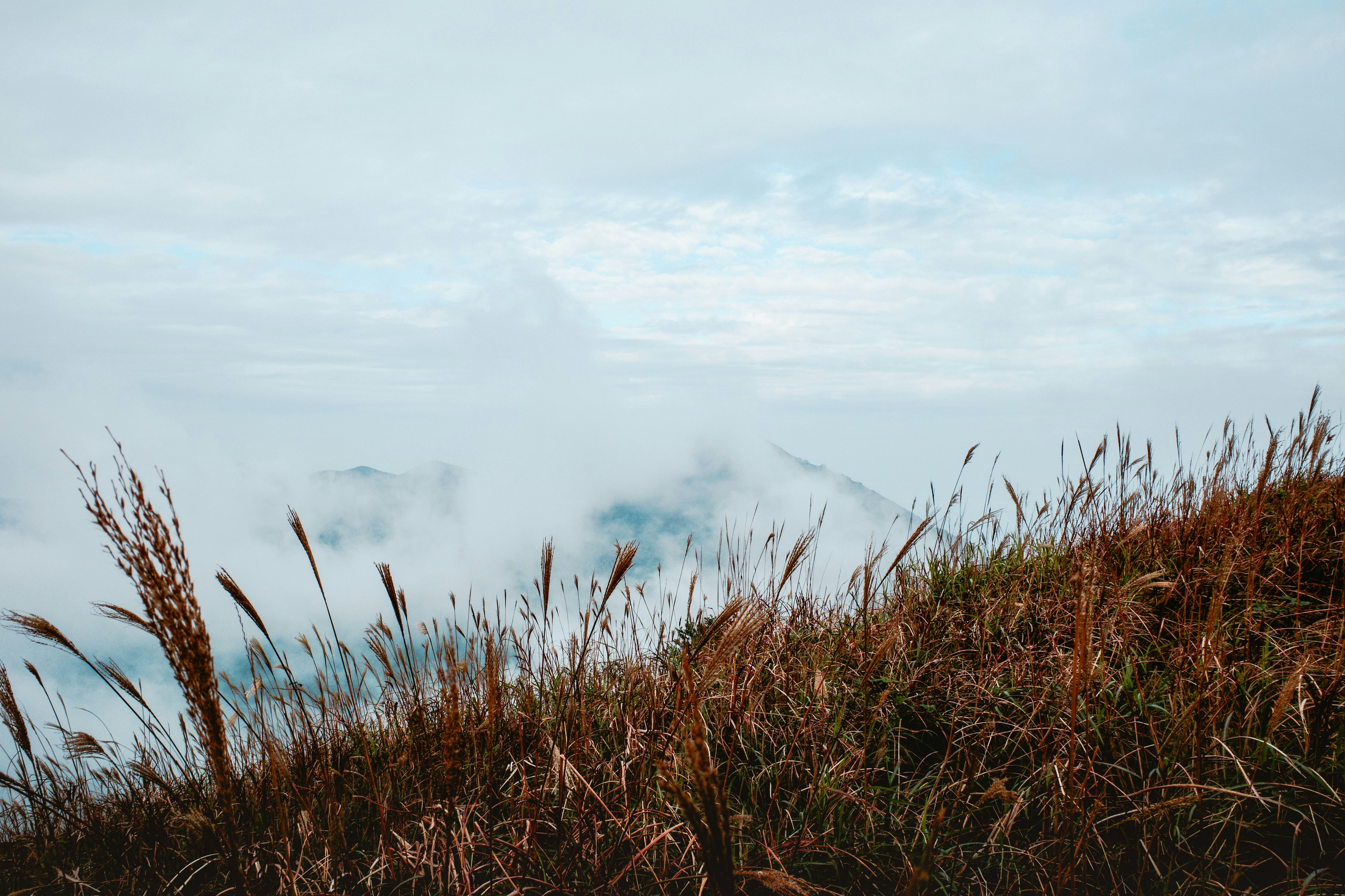 Photo by dickenslin76