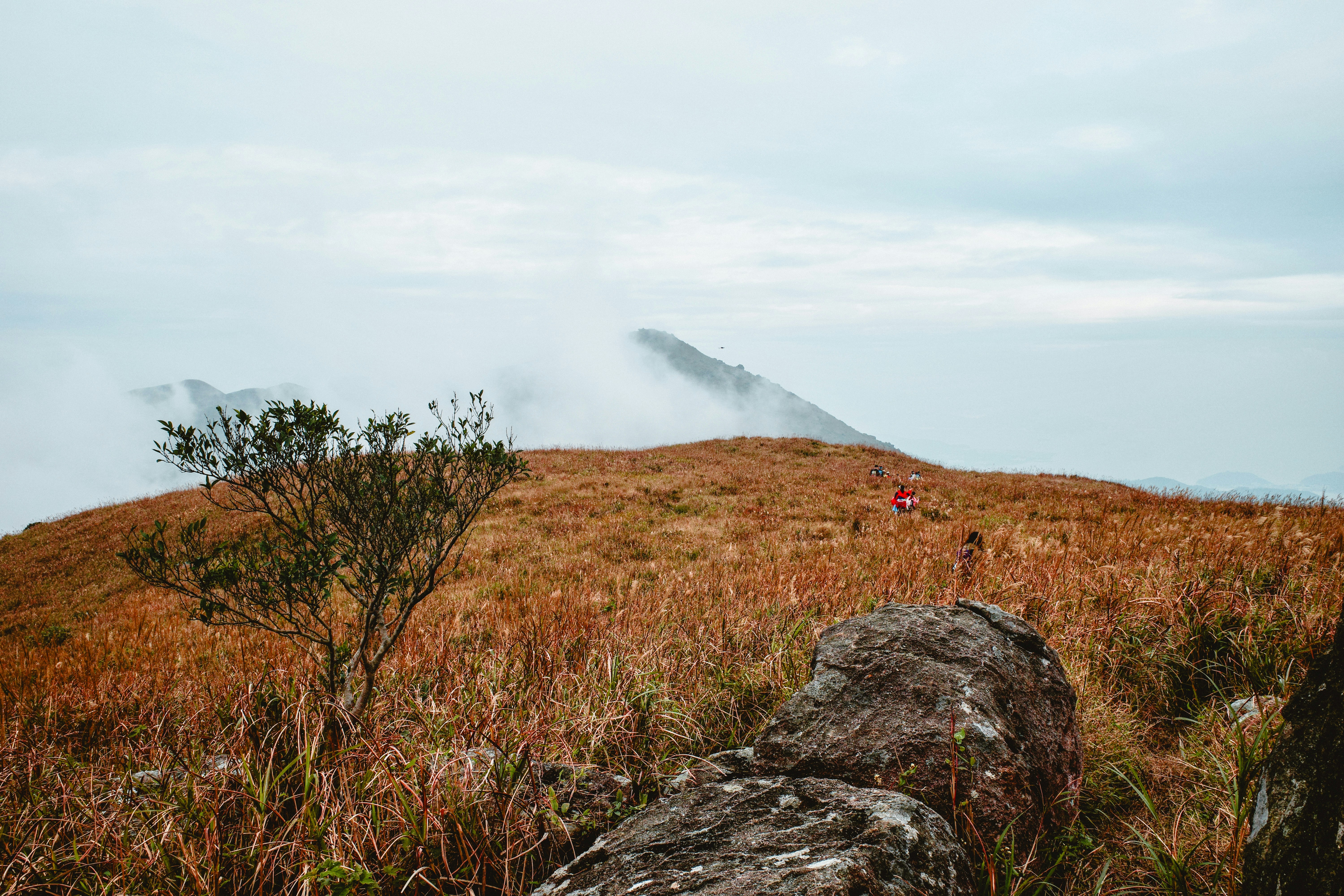 Photo by dickenslin76