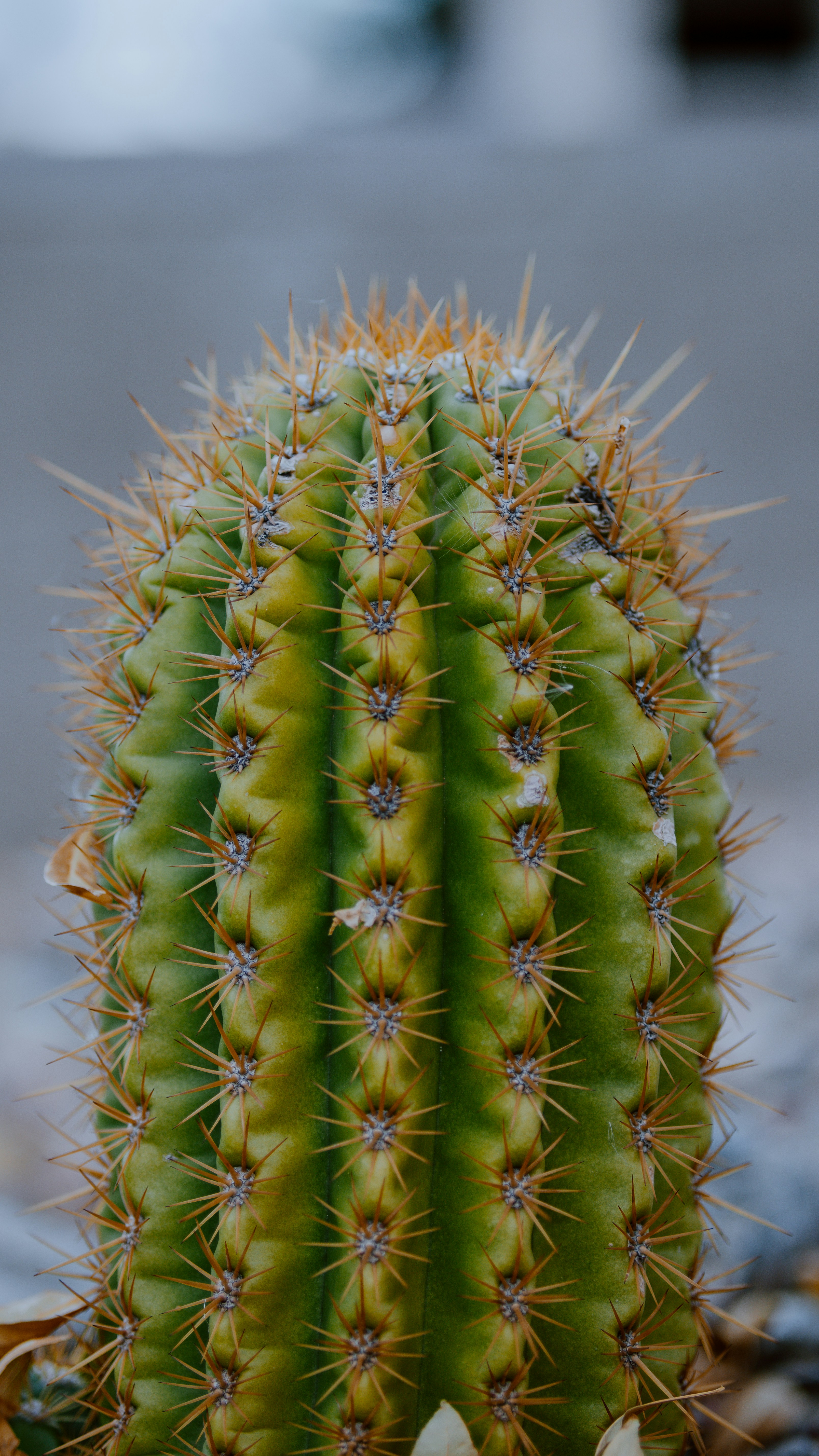 Photo by joseph_royer