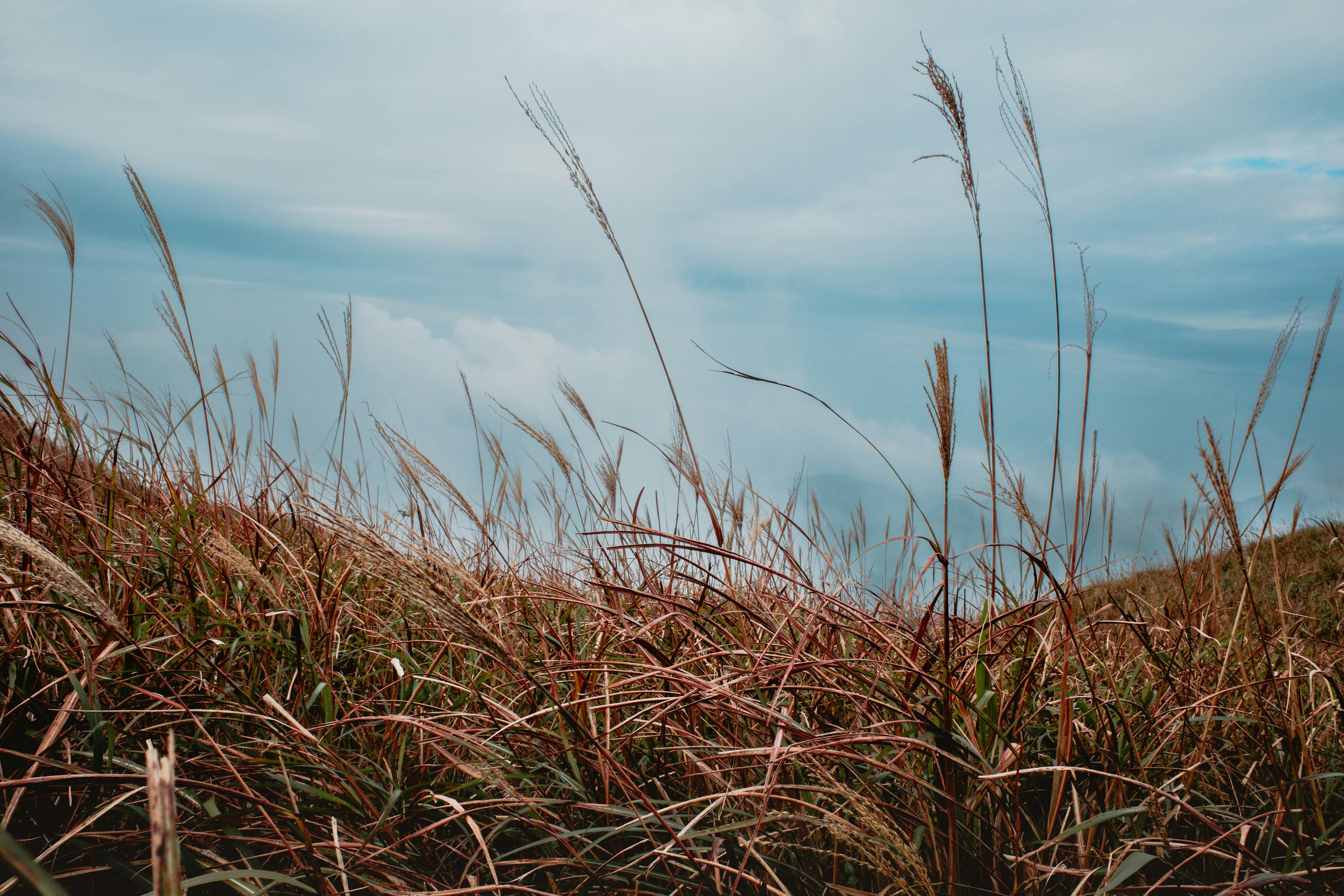 Photo by dickenslin76