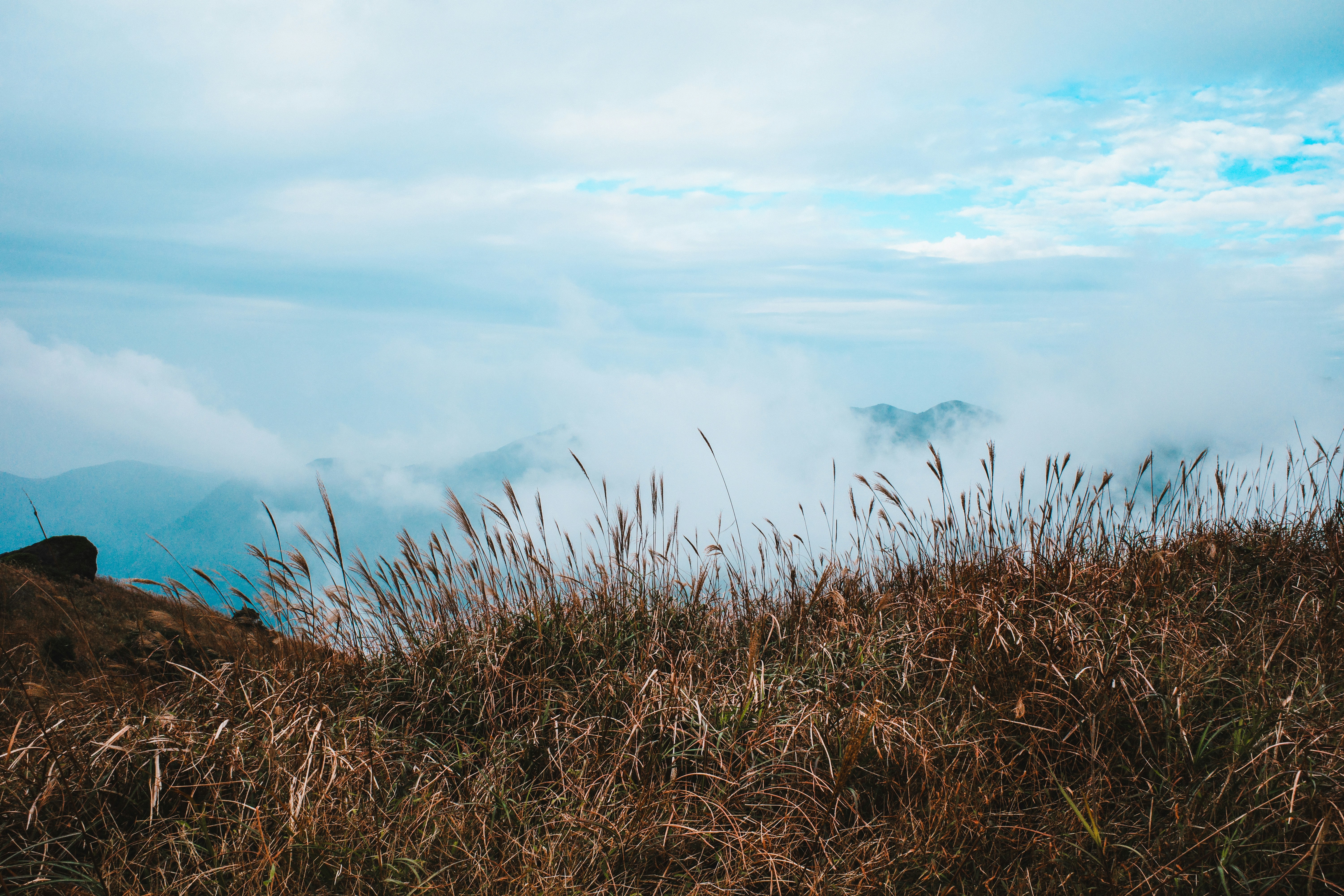 Photo by dickenslin76