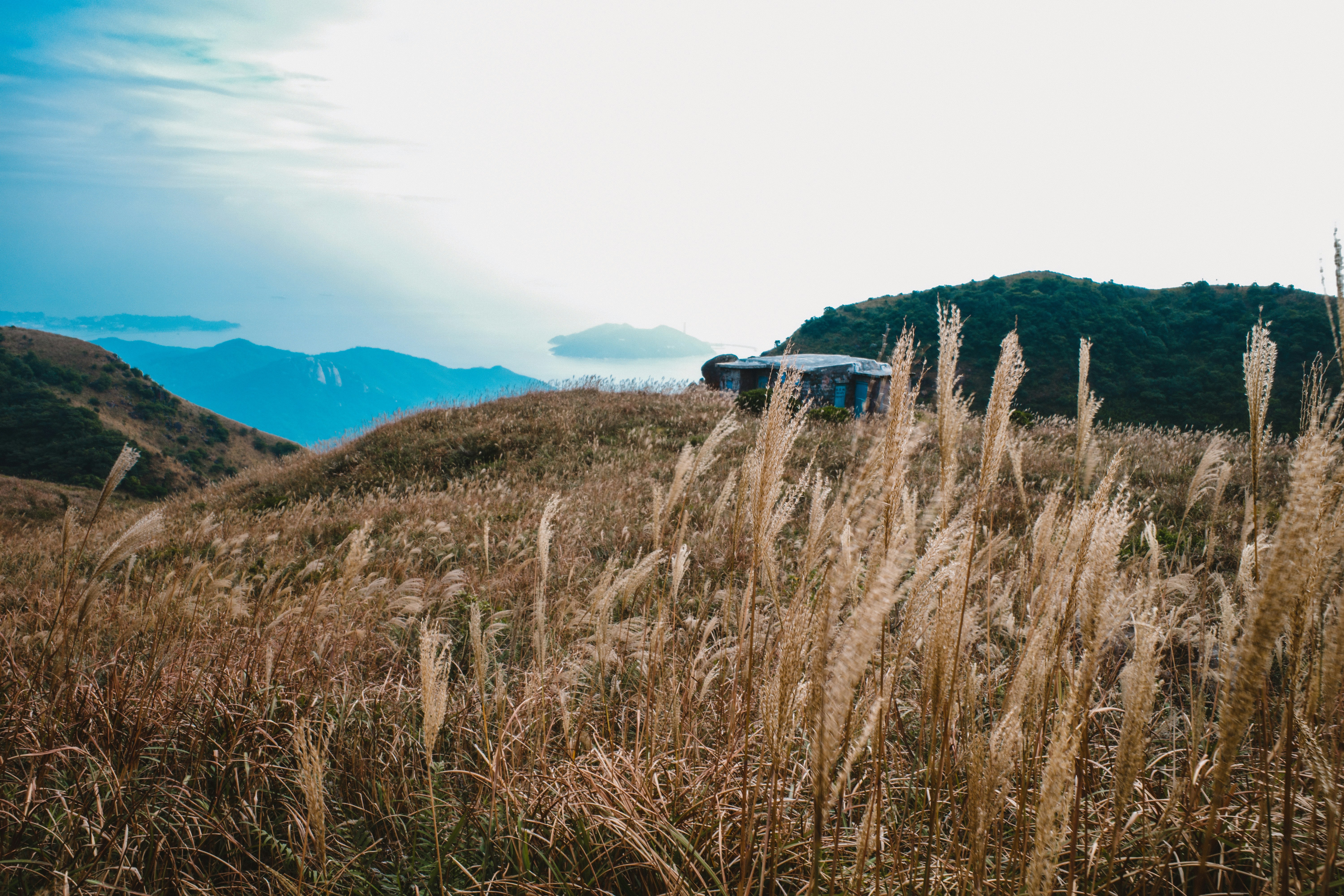 Photo by dickenslin76