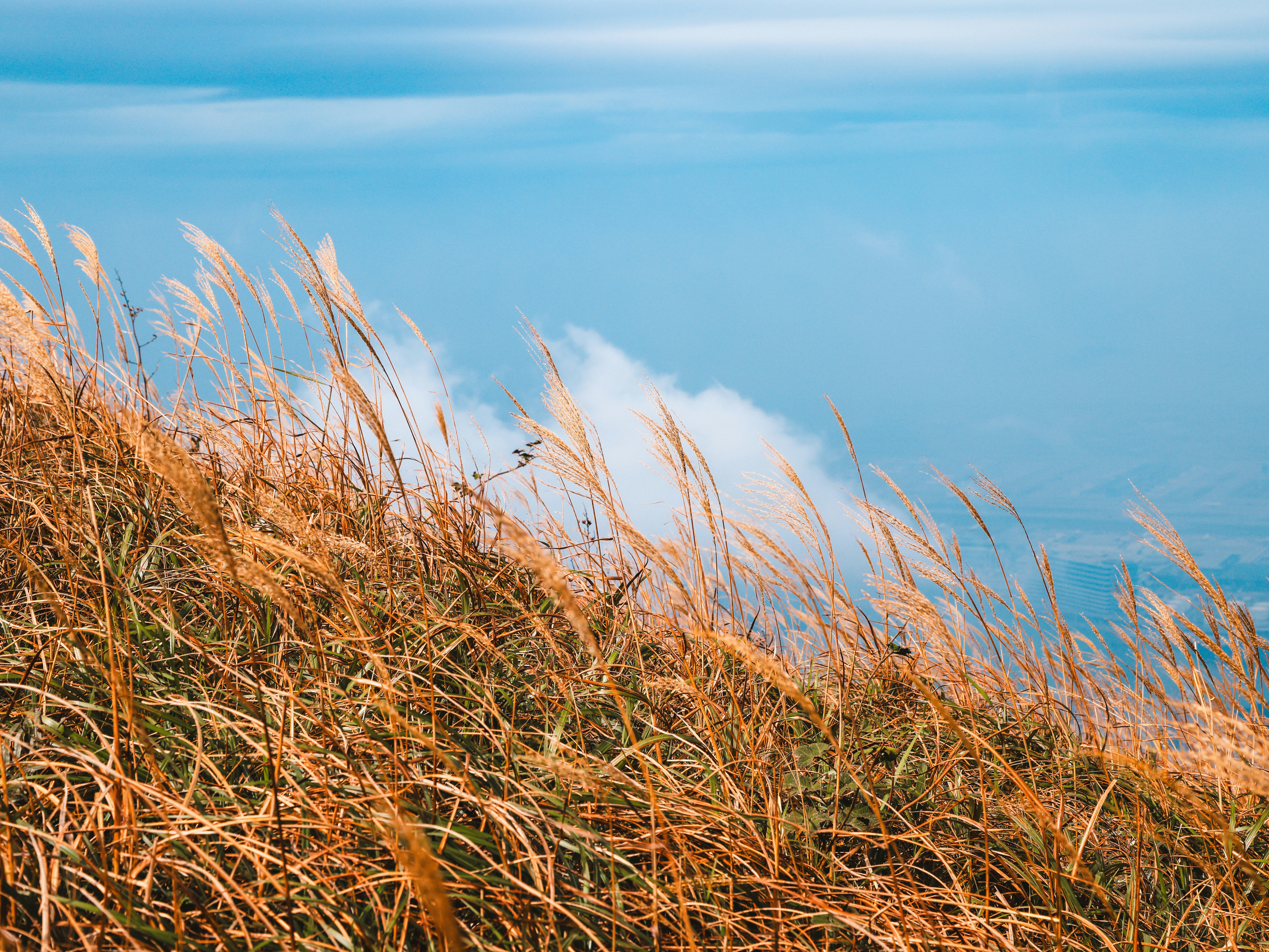 Photo by dickenslin76