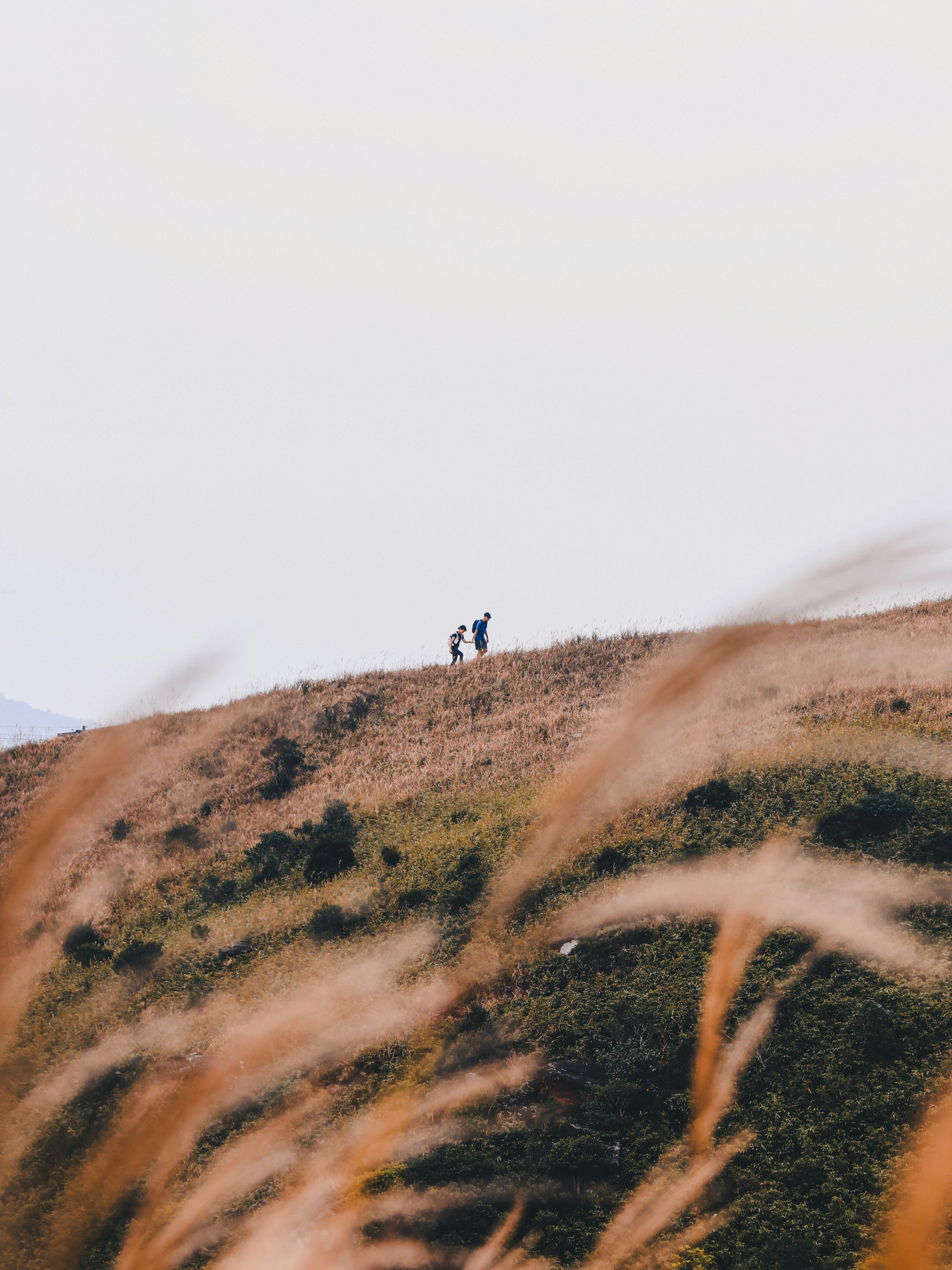 Photo by dickenslin76