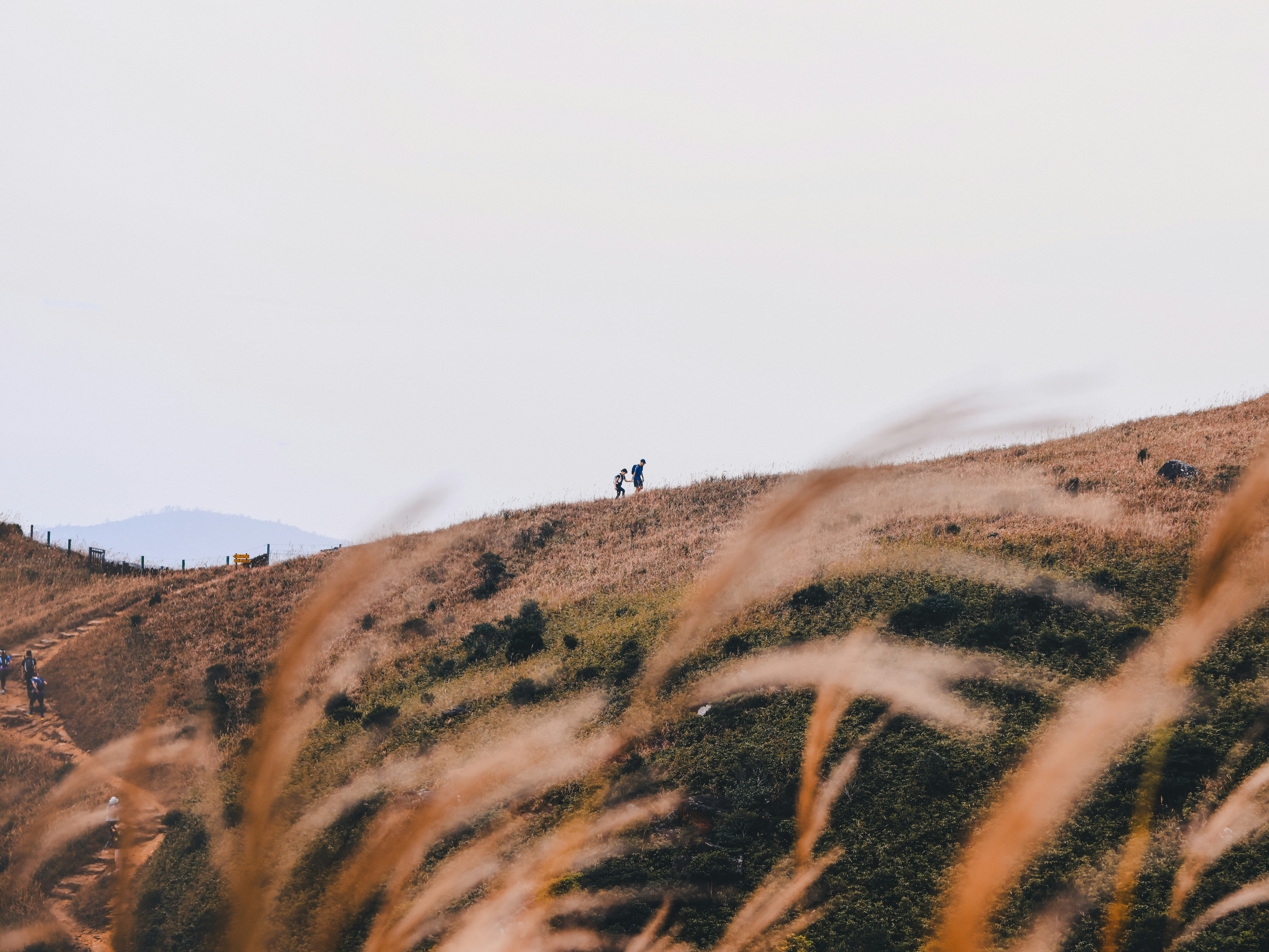 Photo by dickenslin76