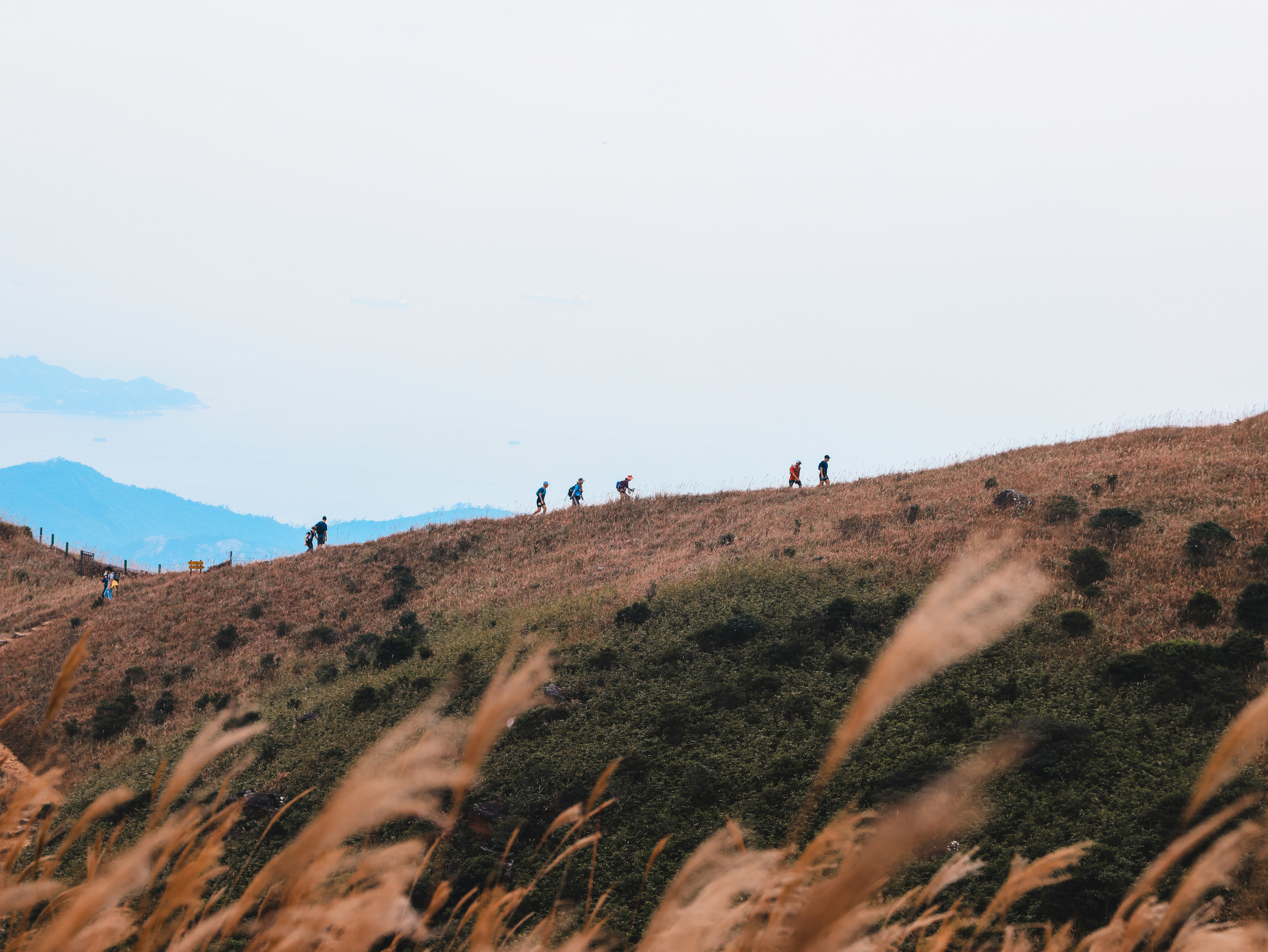 Photo by dickenslin76