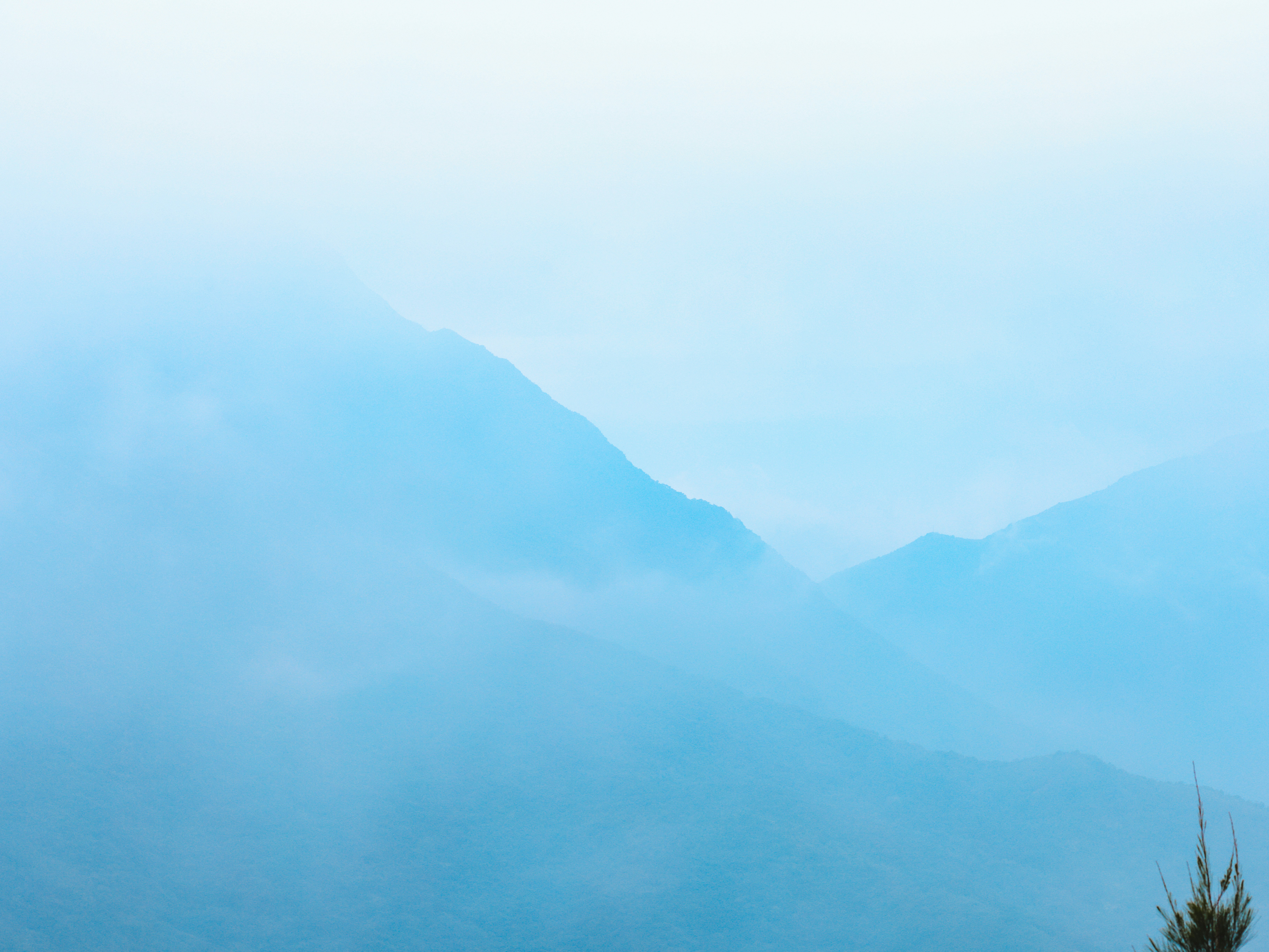 Photo by dickenslin76