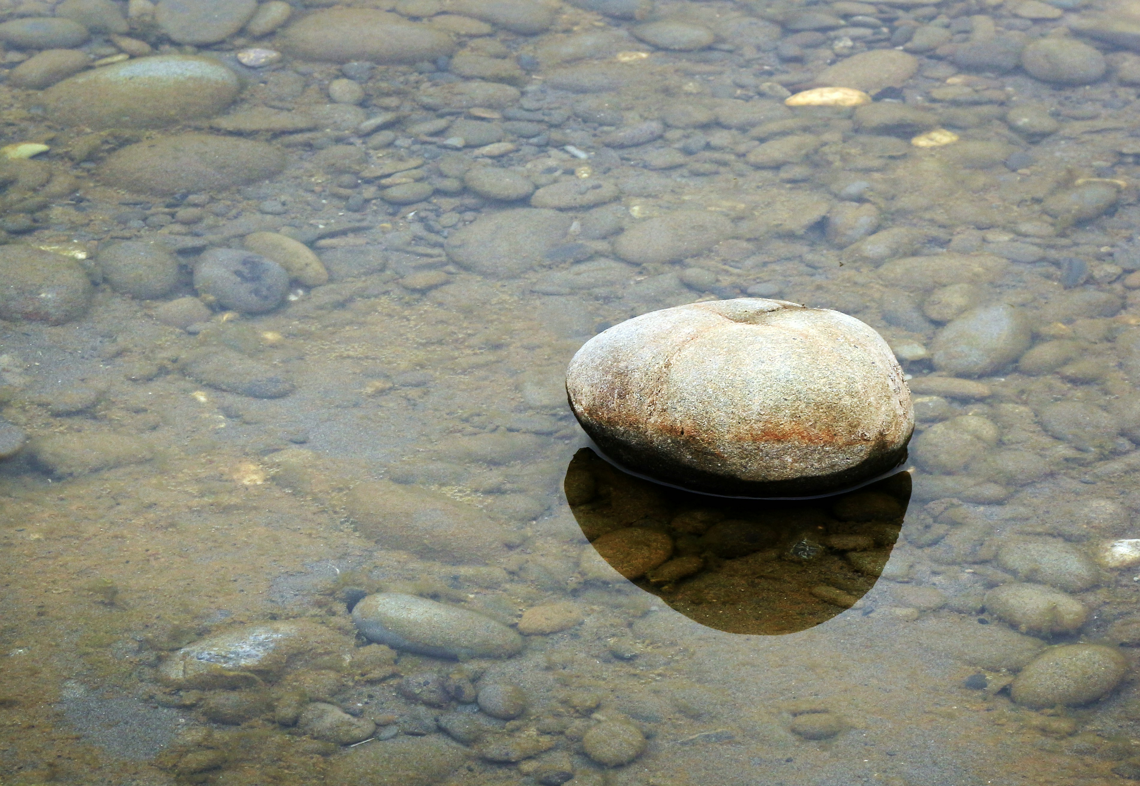 Photo by john_cardamone