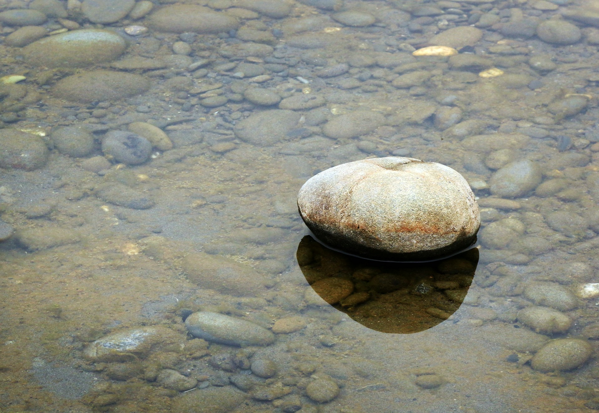 A rock sitting on top of a body of water