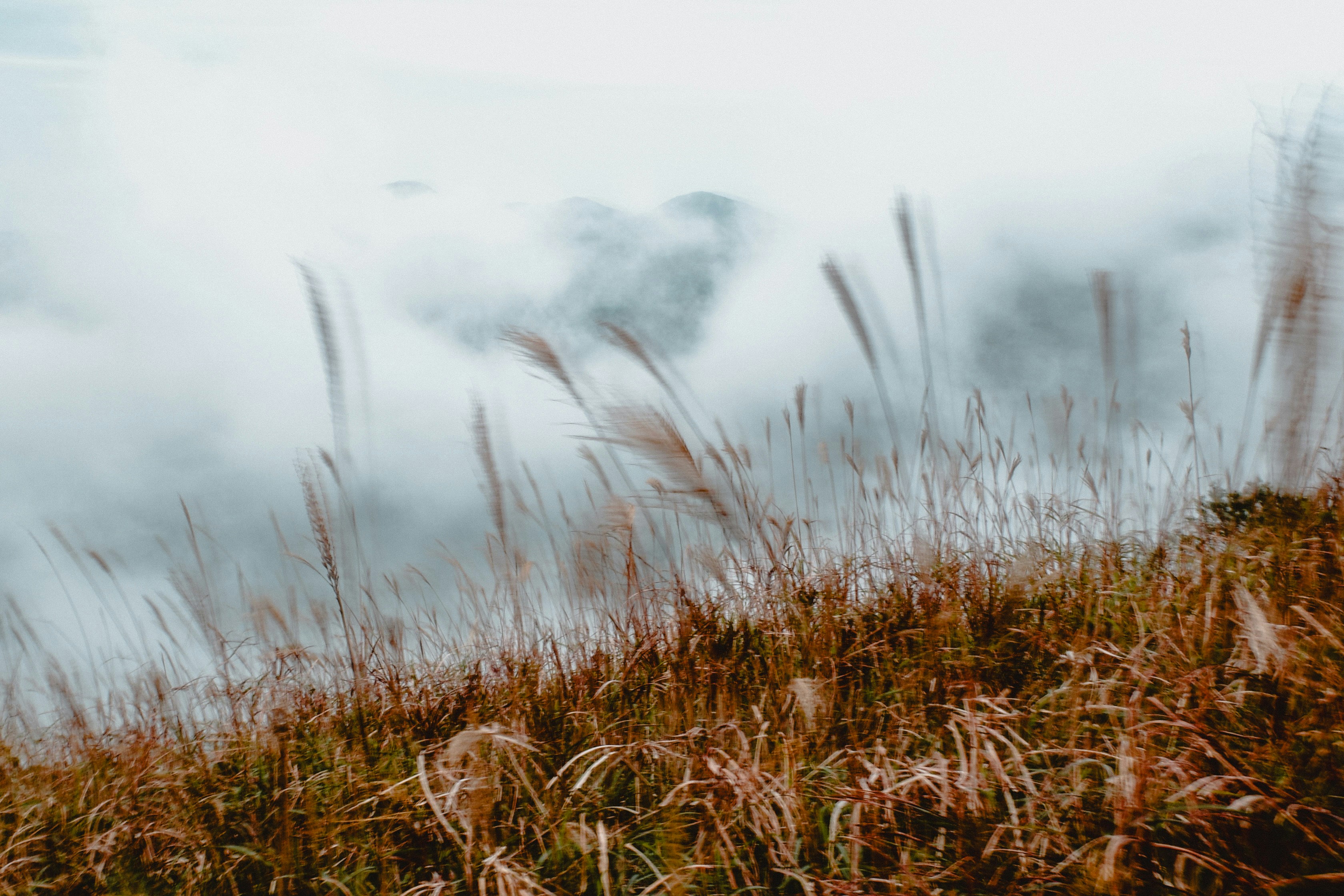 Photo by dickenslin76