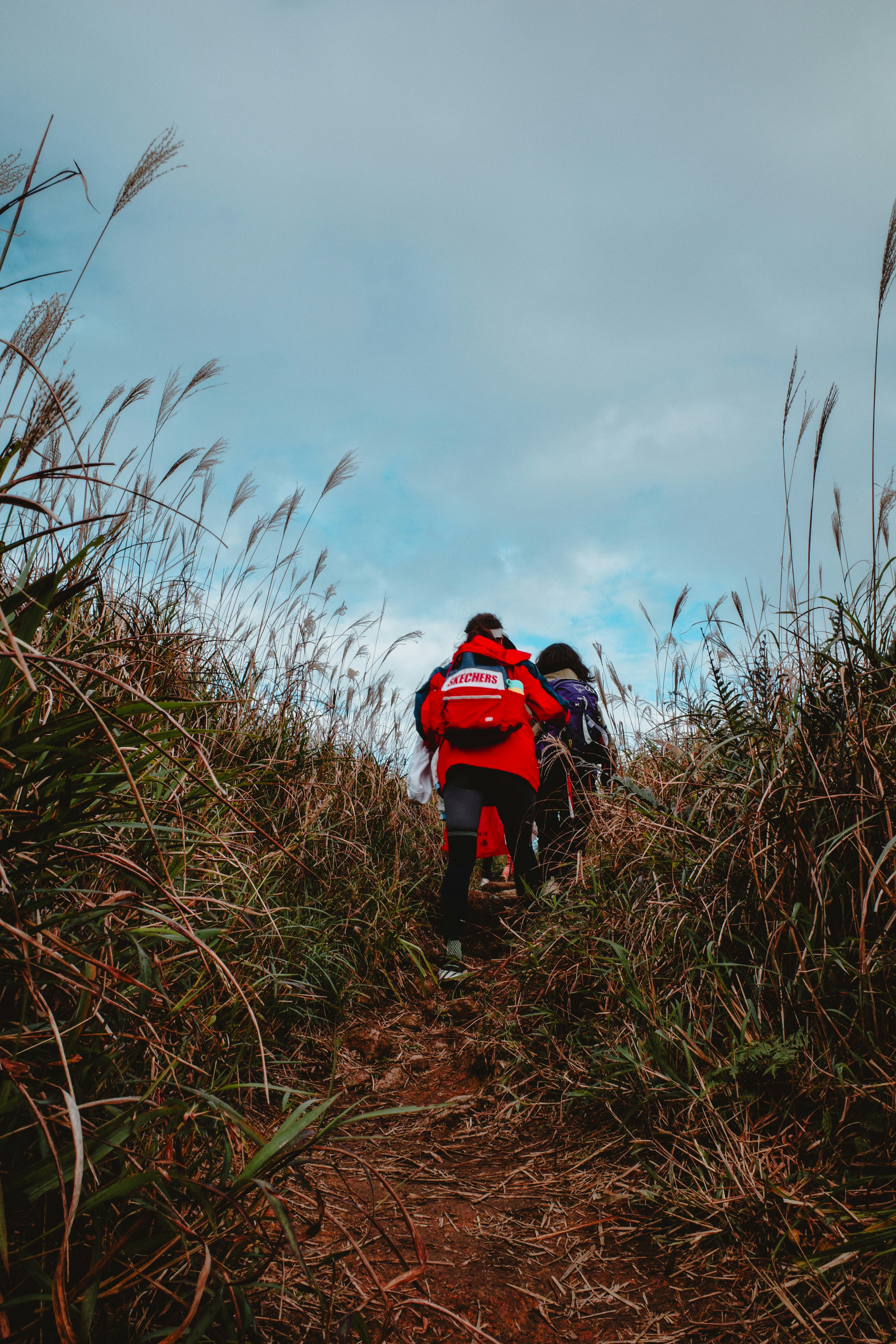 A group of people walking up a hill