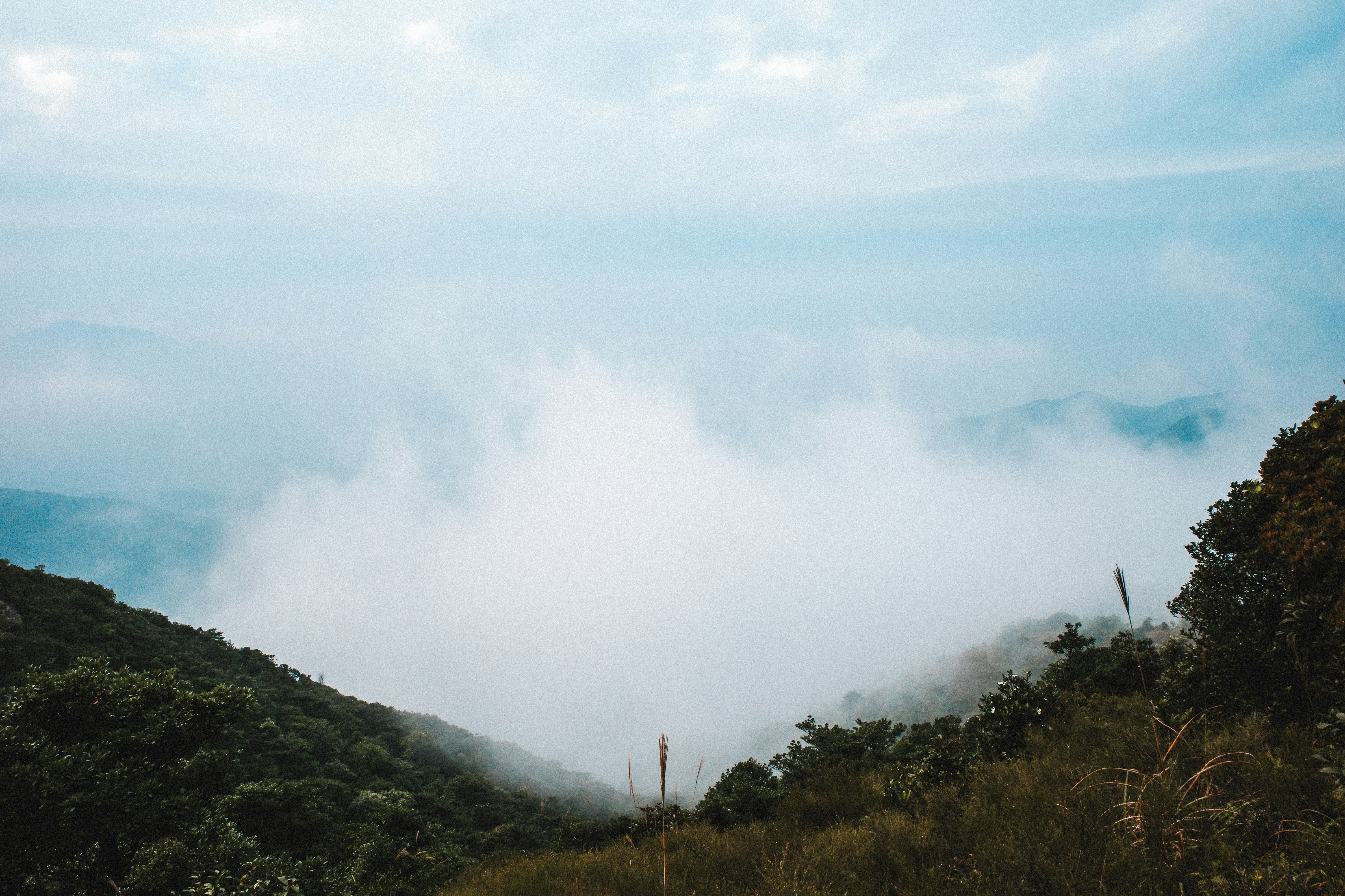 Photo by dickenslin76