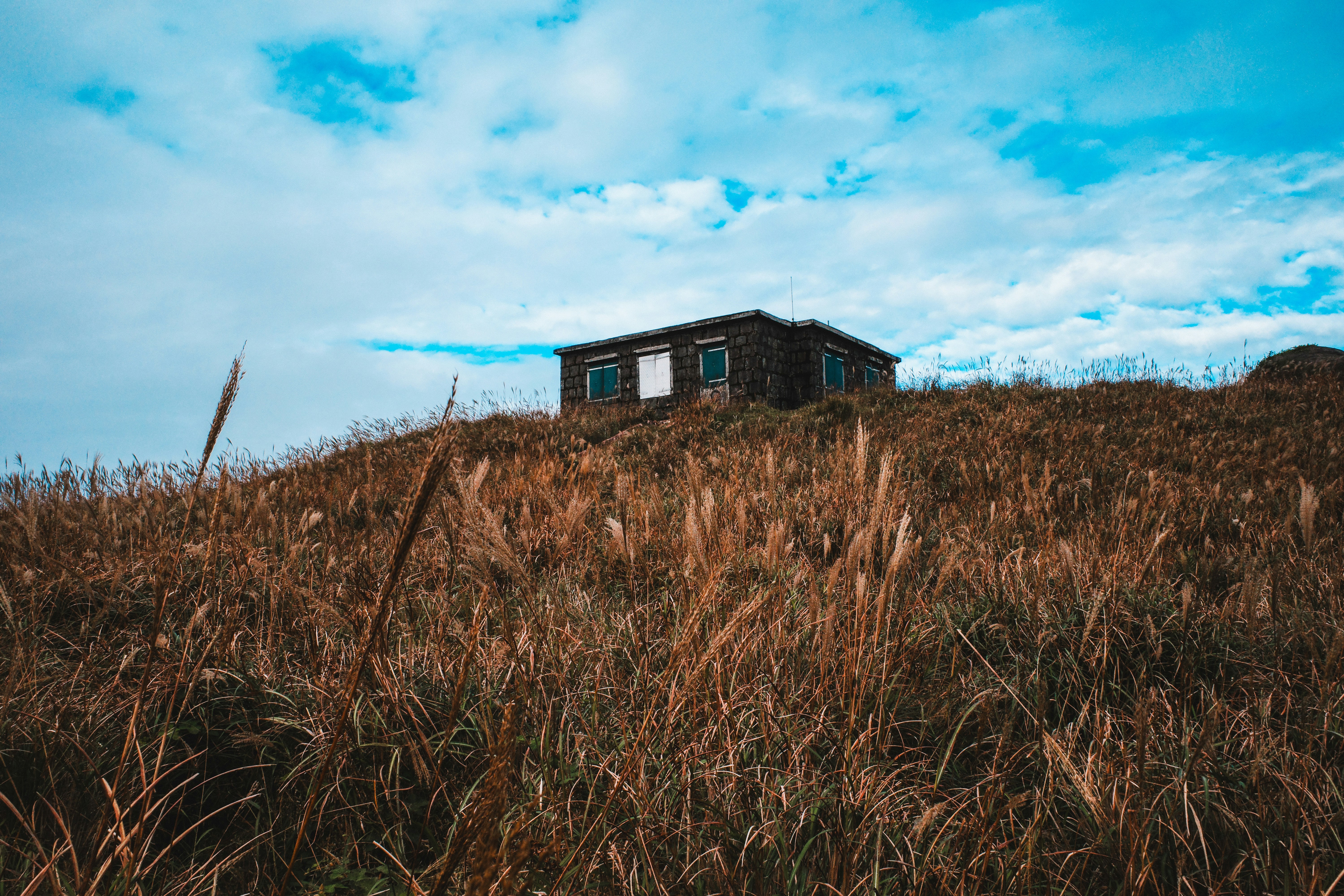 Photo by dickenslin76