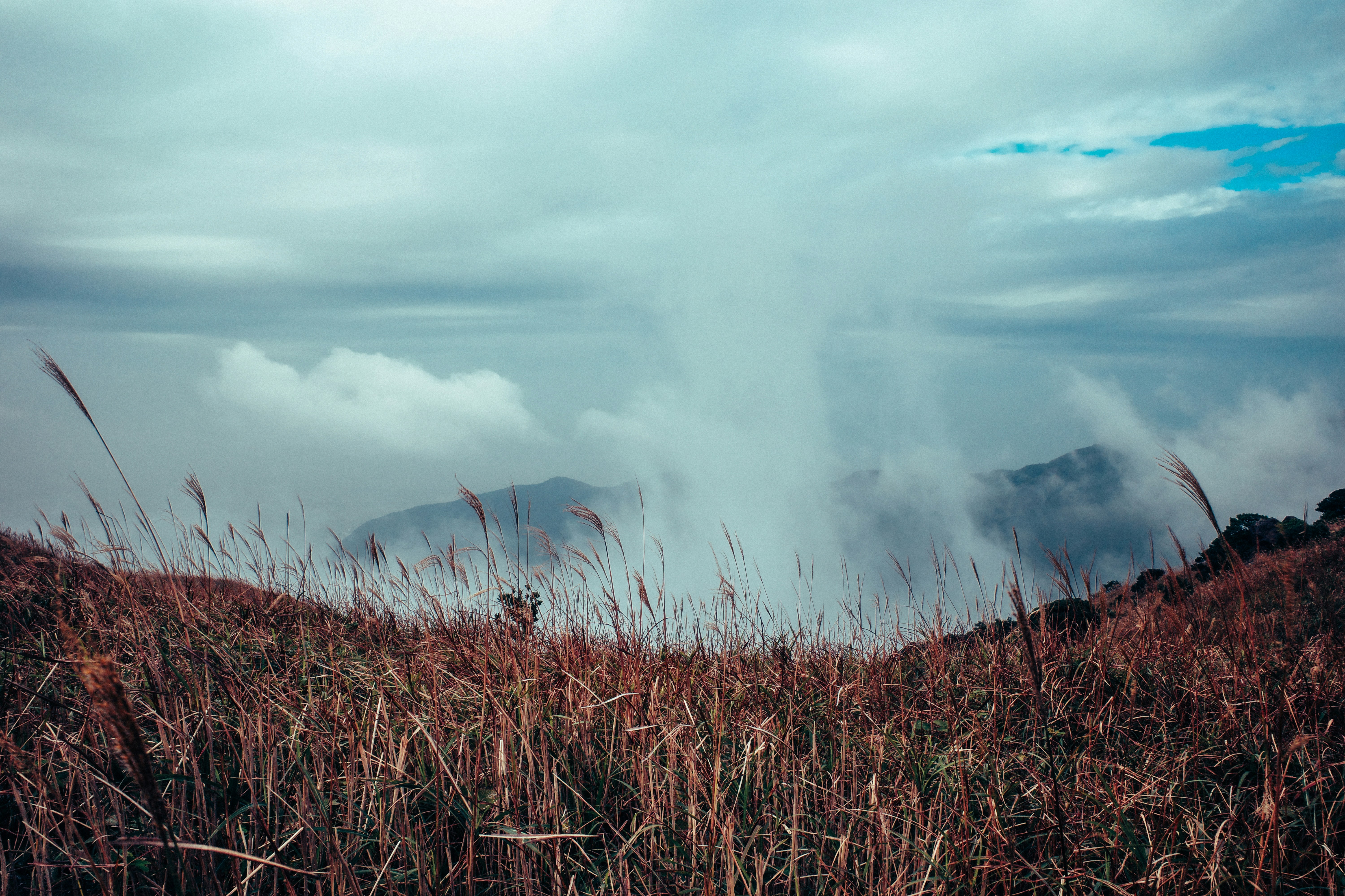 Photo by dickenslin76