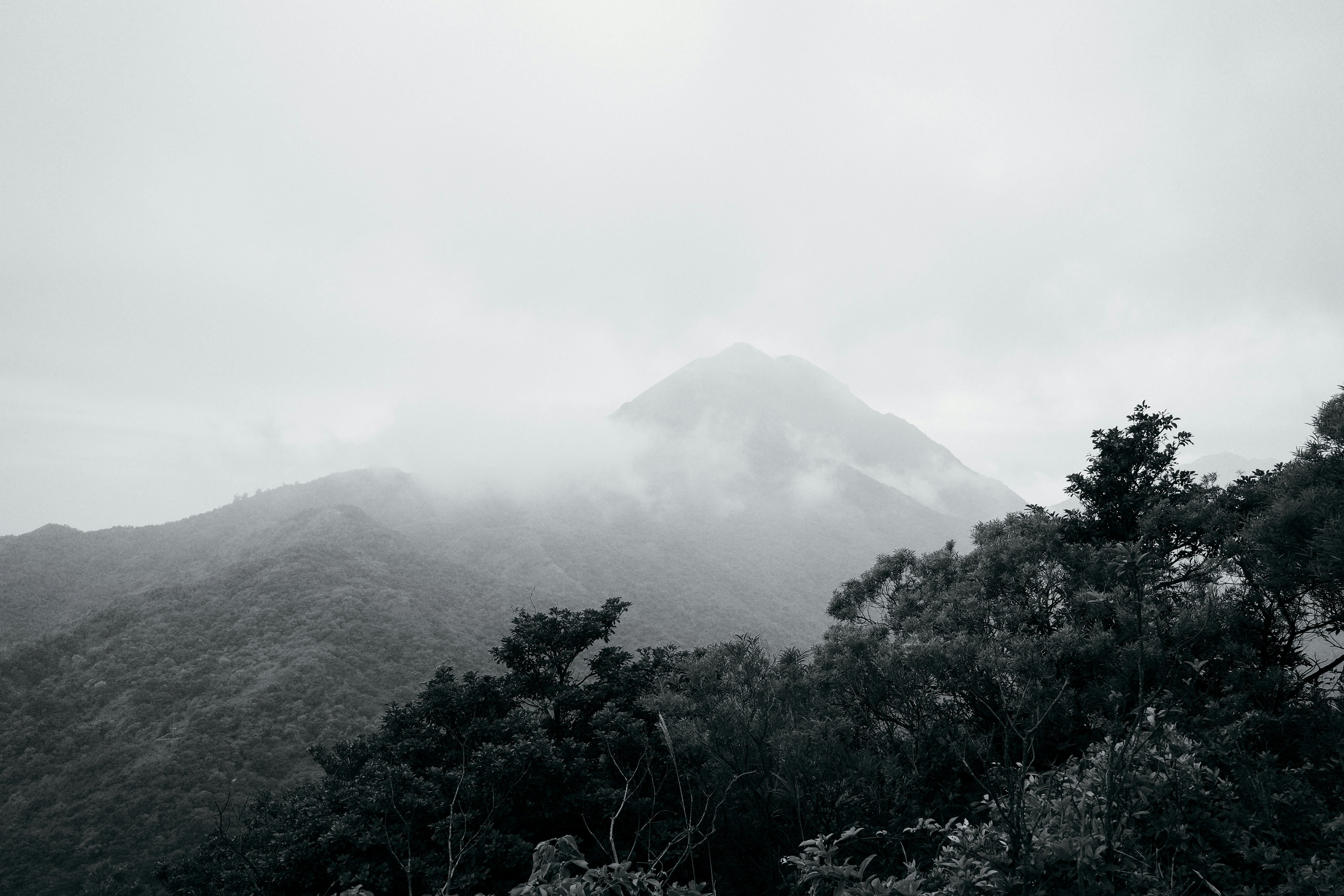 Photo by dickenslin76