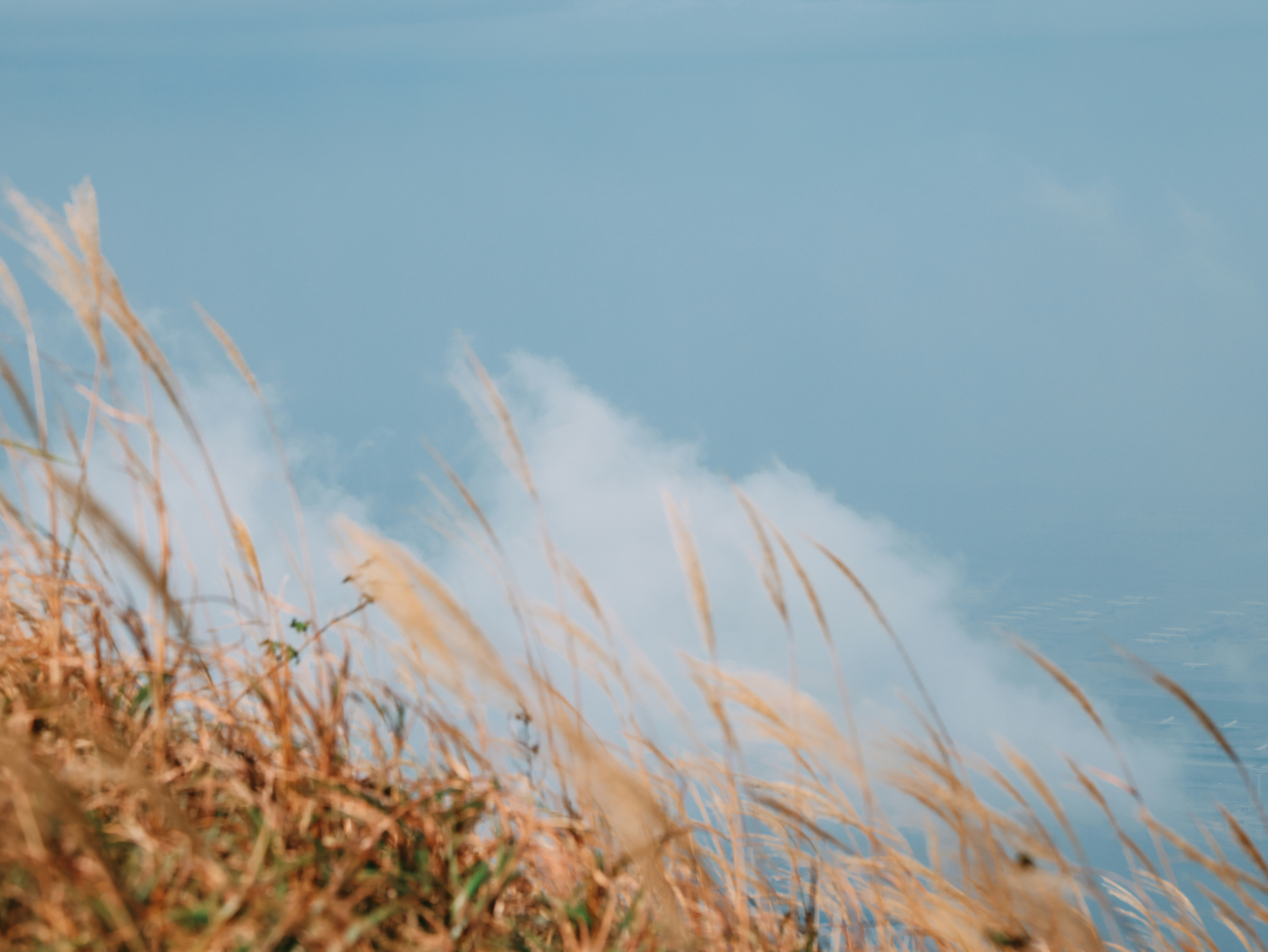 Photo by dickenslin76