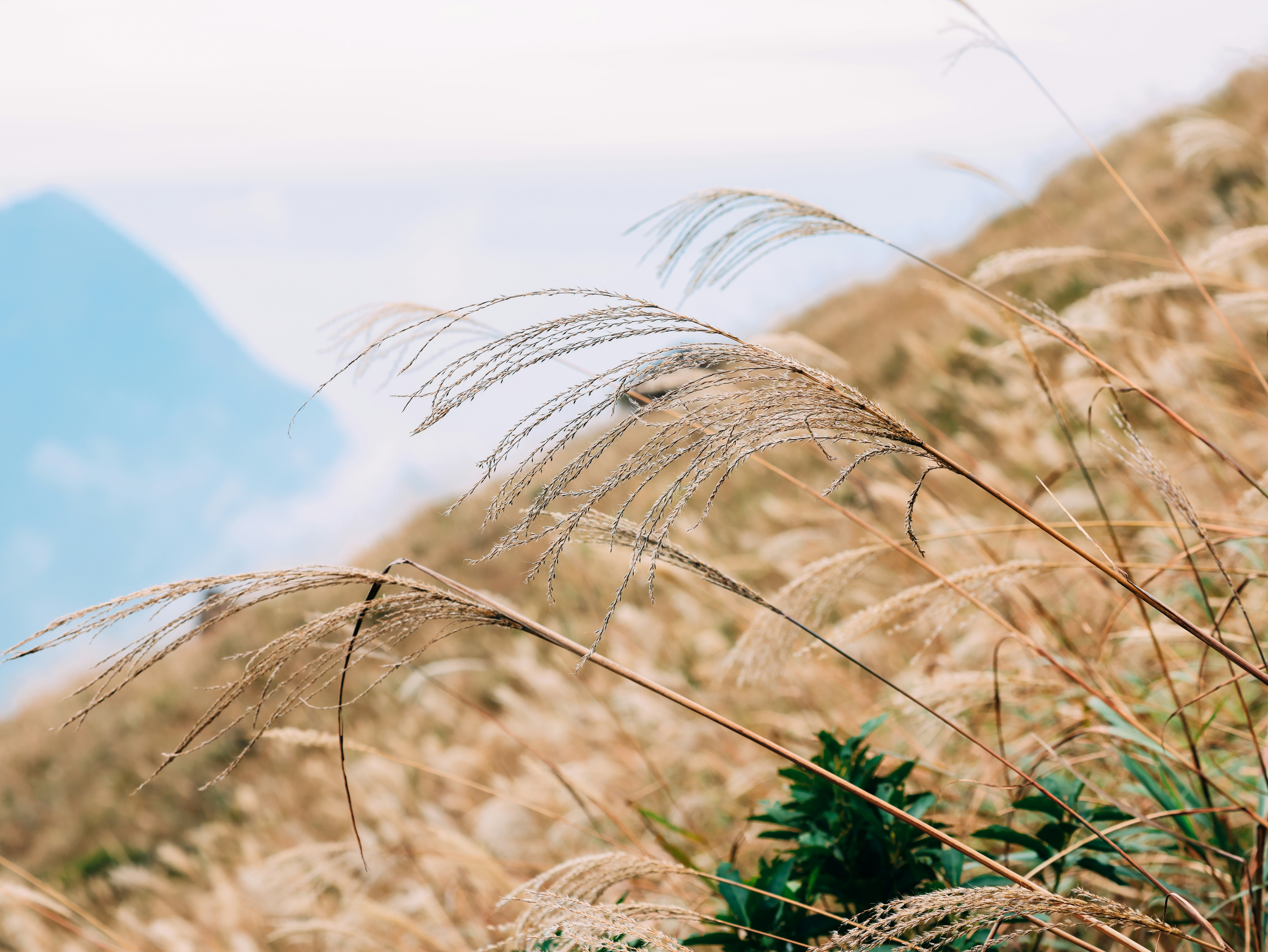 Photo by dickenslin76