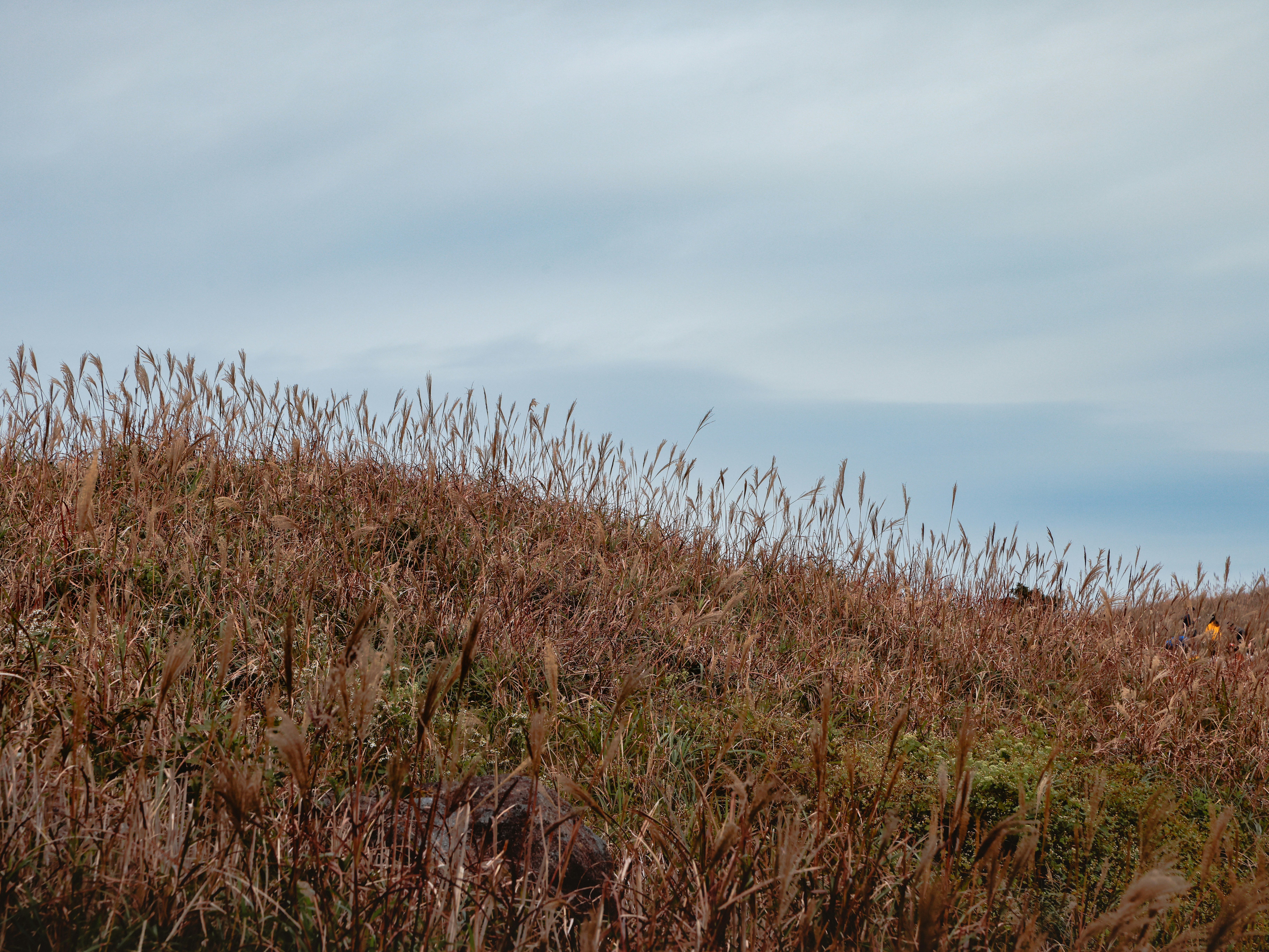 Photo by dickenslin76