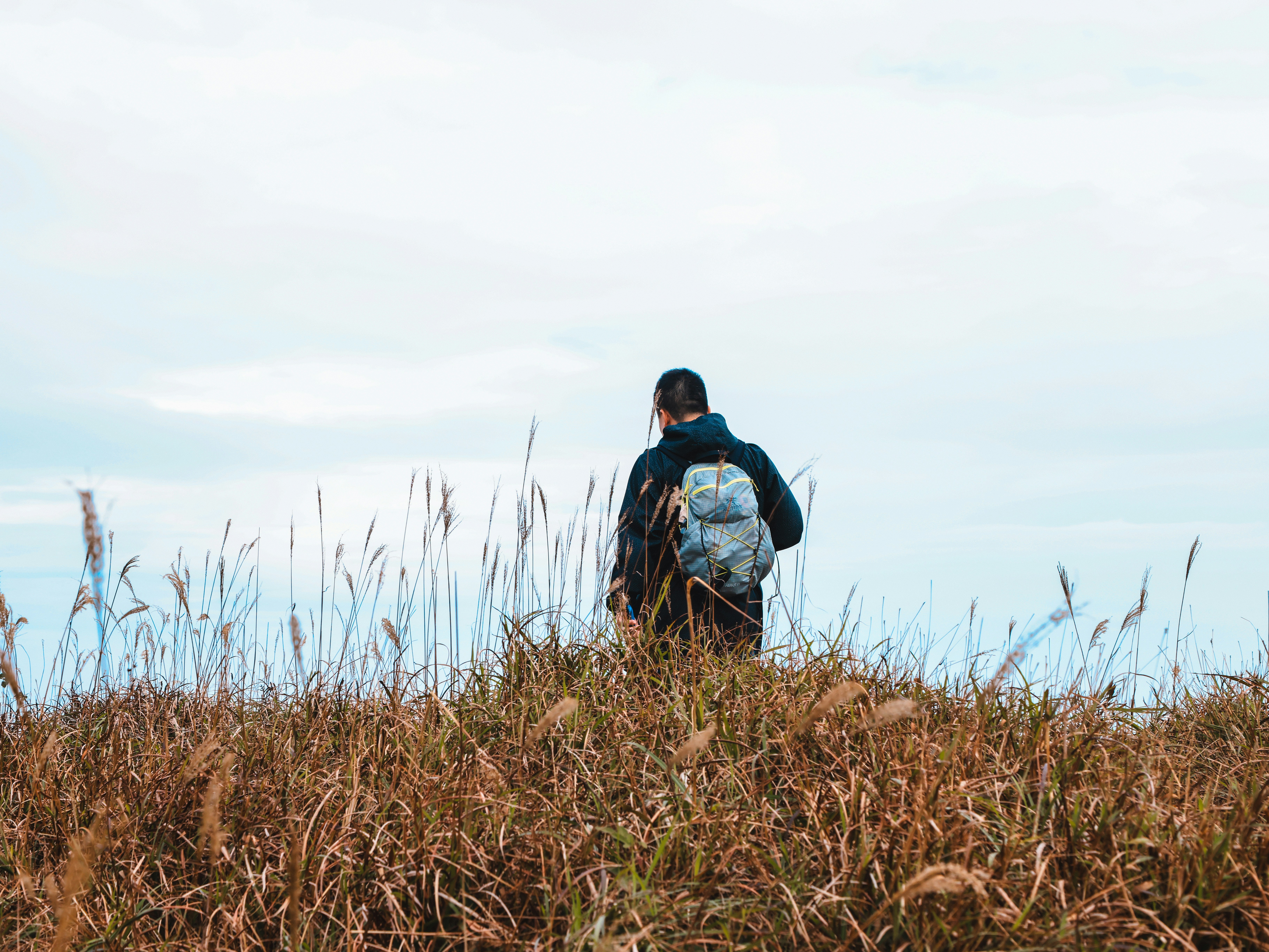 Photo by dickenslin76