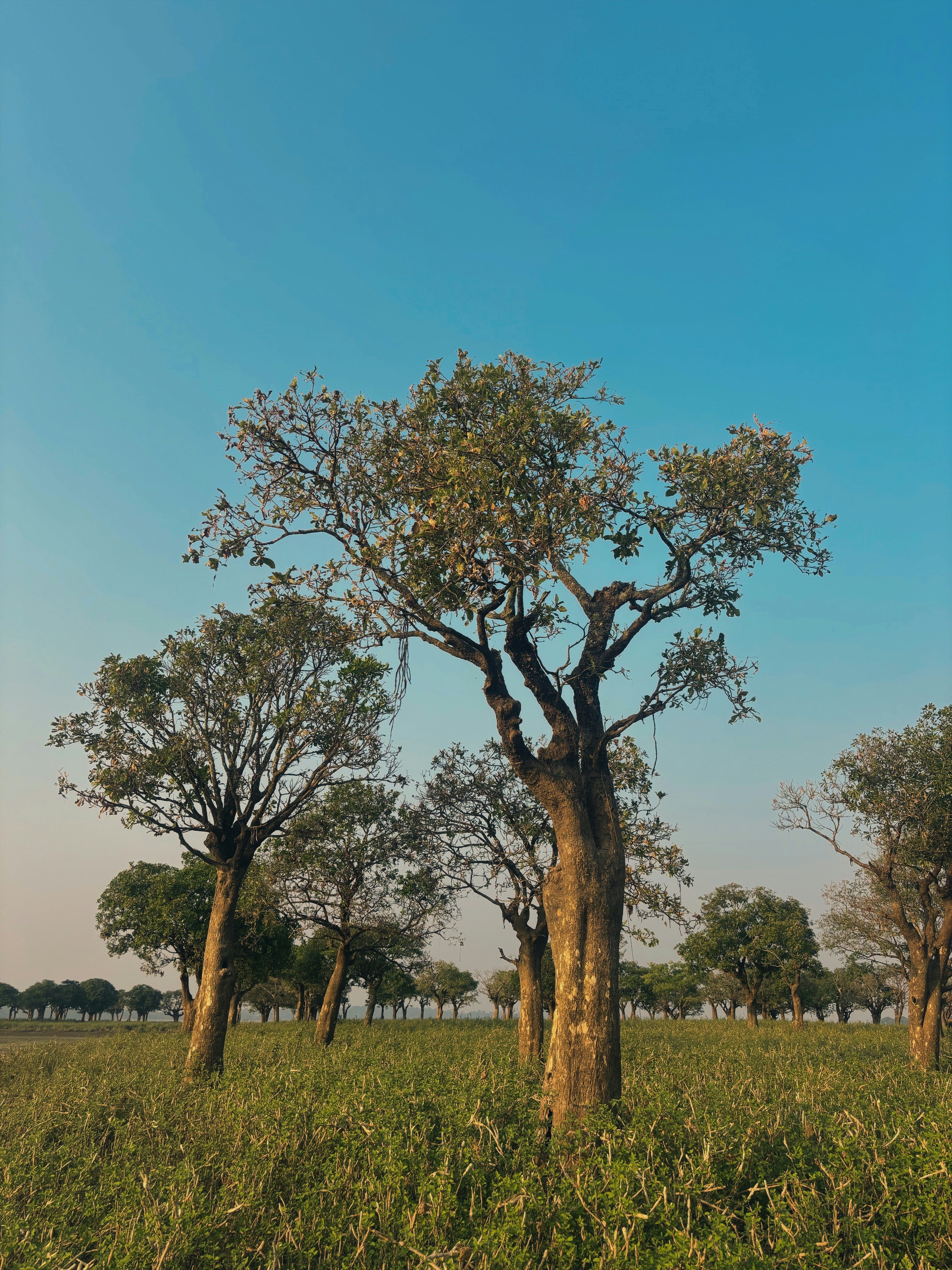 Photo by pranabpictures