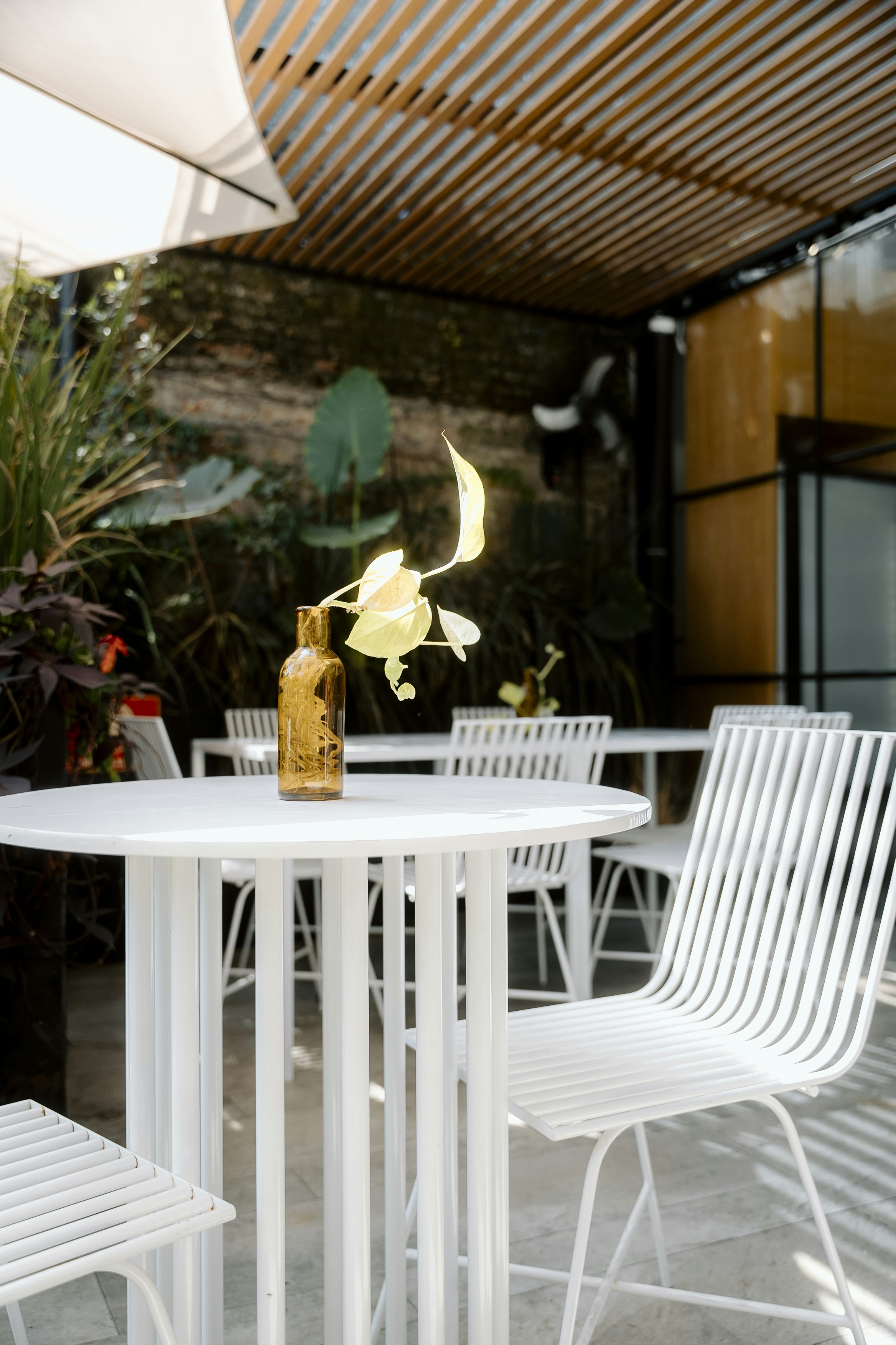 Photo by brunocervera