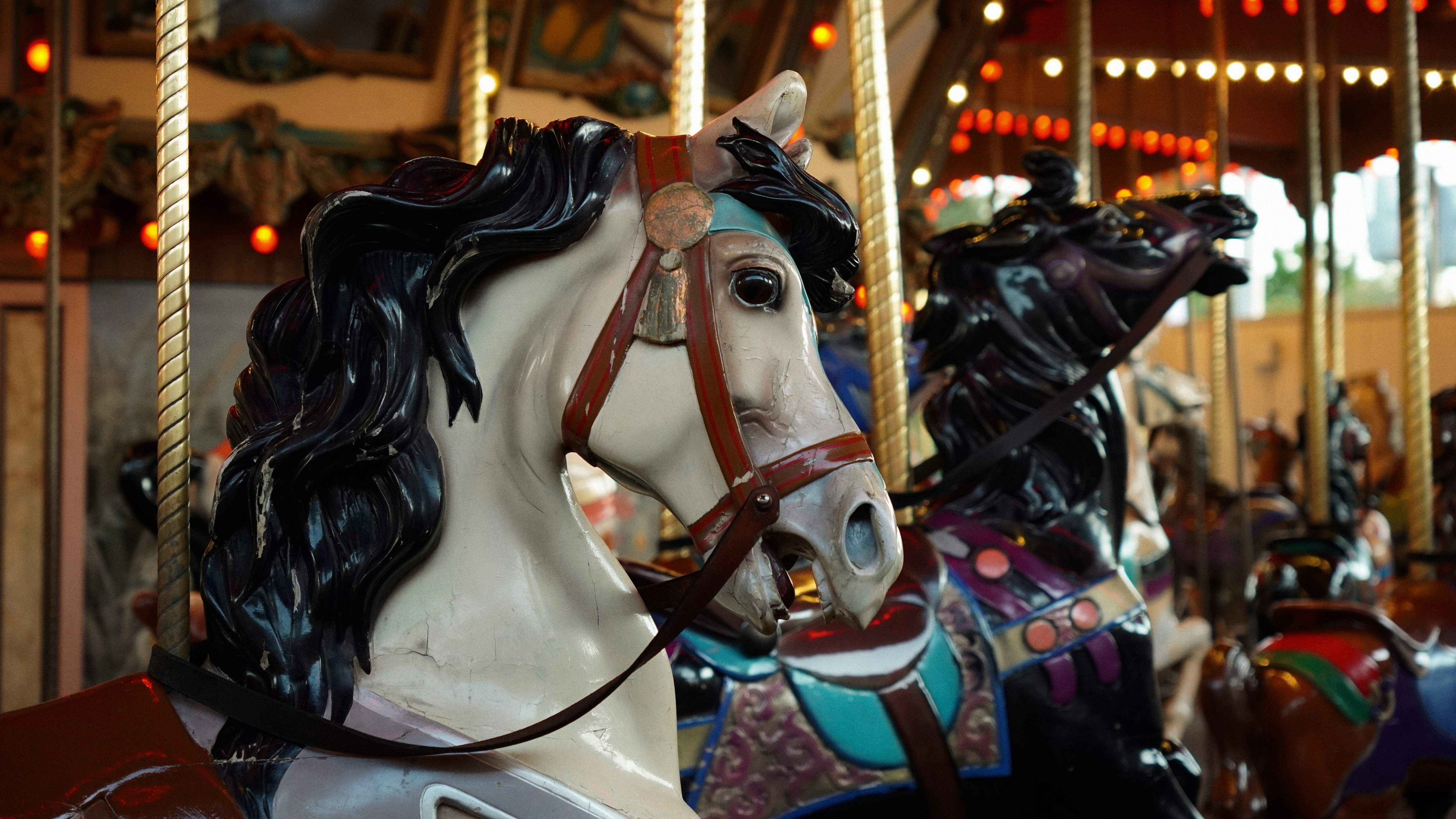 Photo by rogerismile