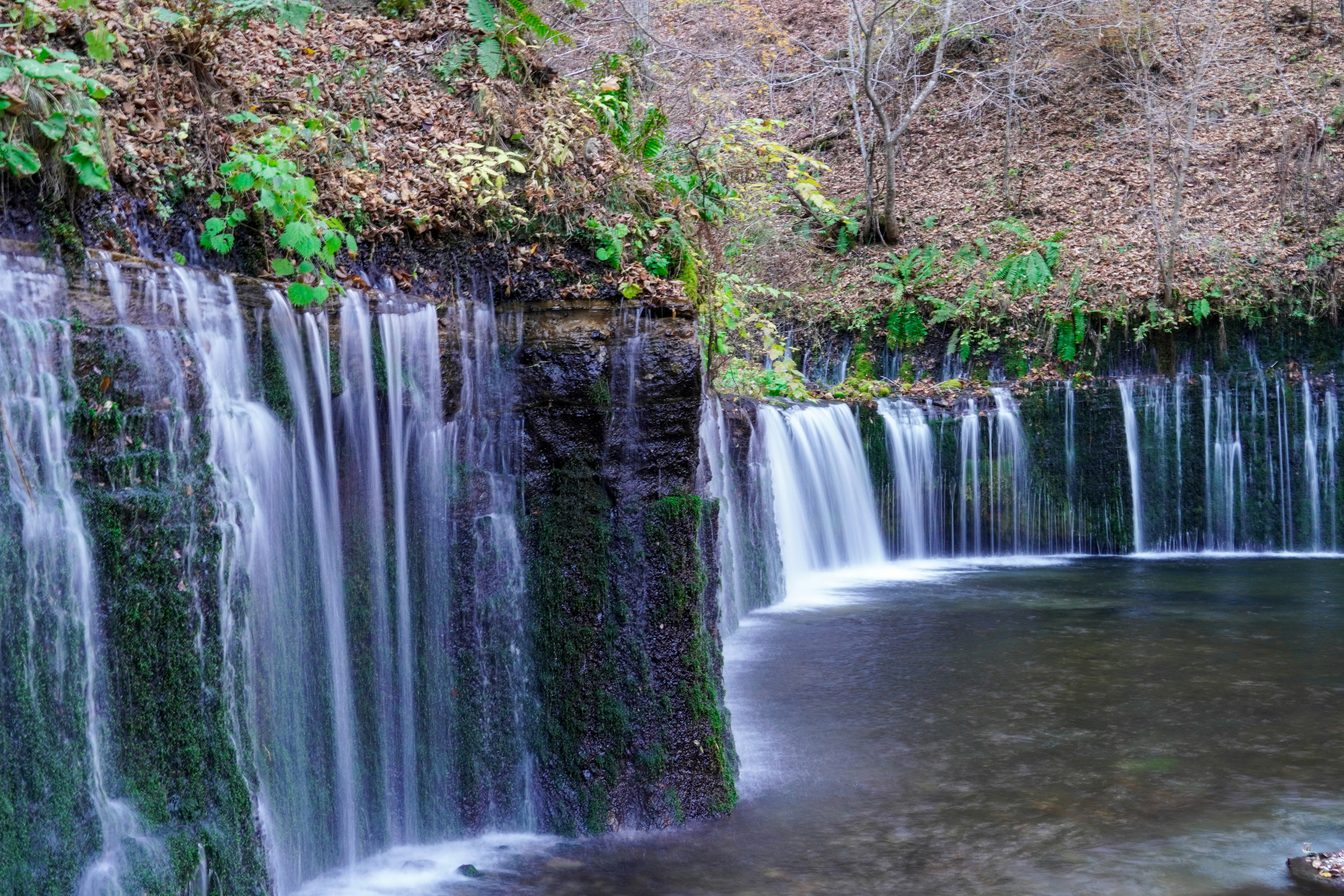 Photo by dsnphotography