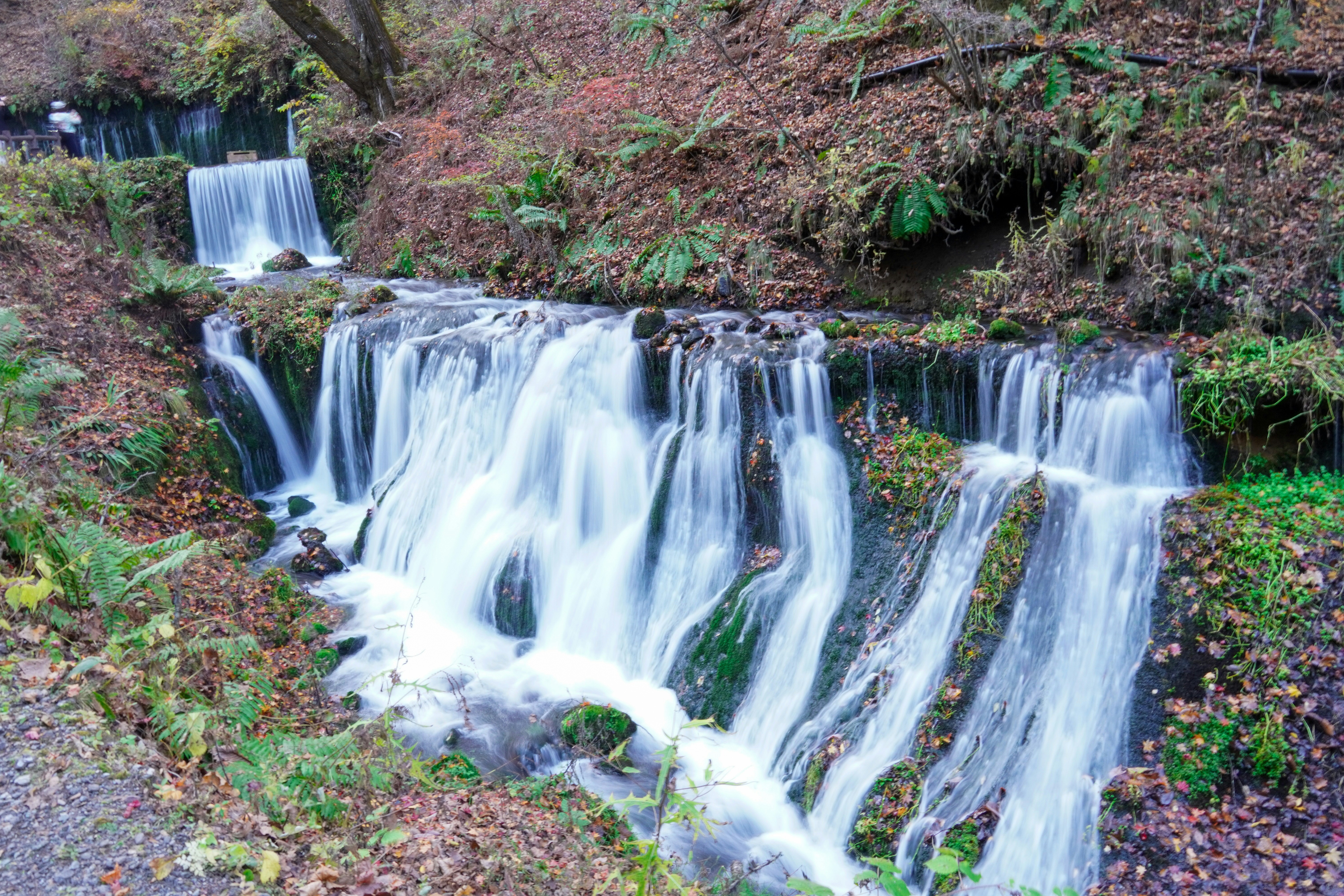 Photo by dsnphotography