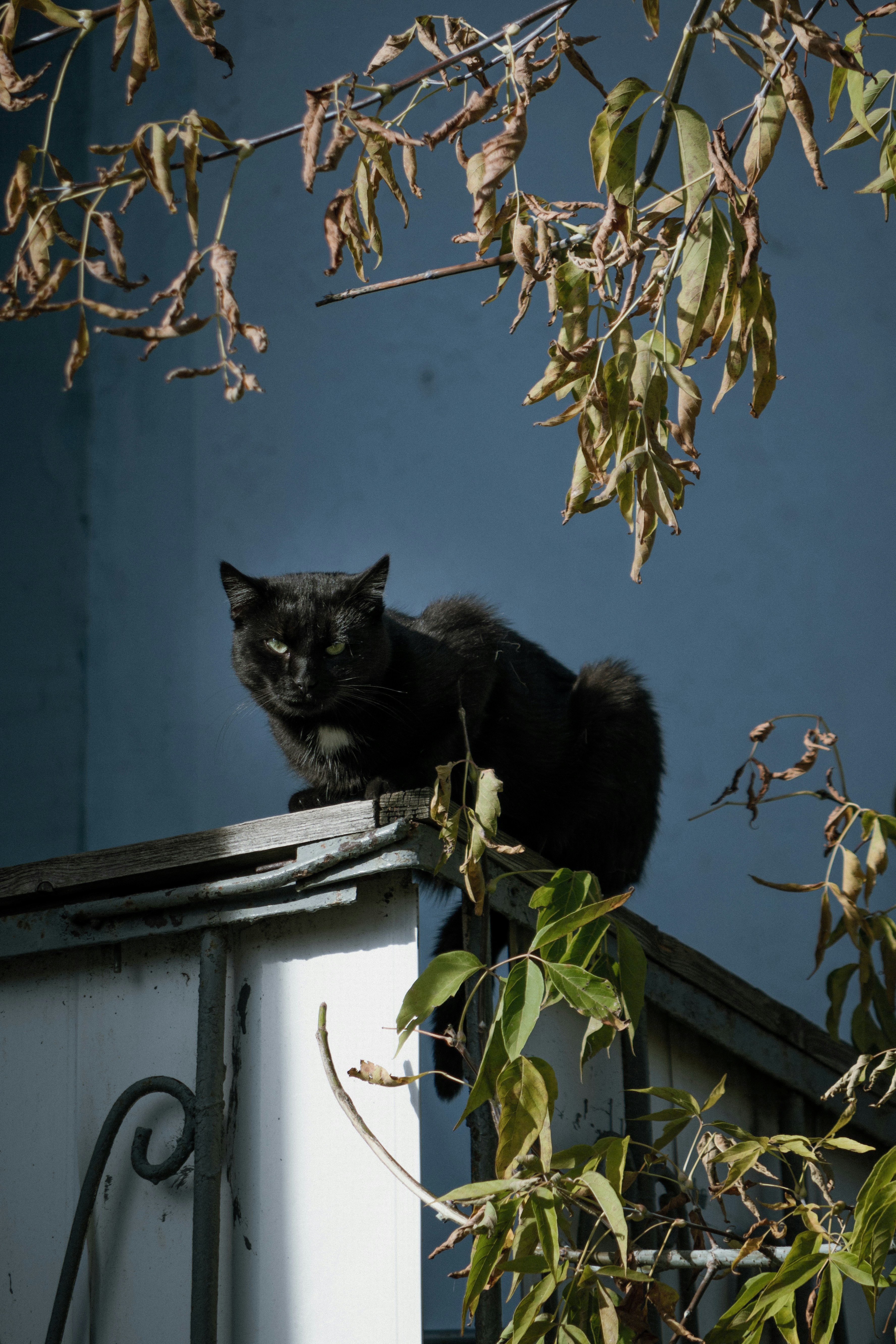 Photo by katya_vysotskaya