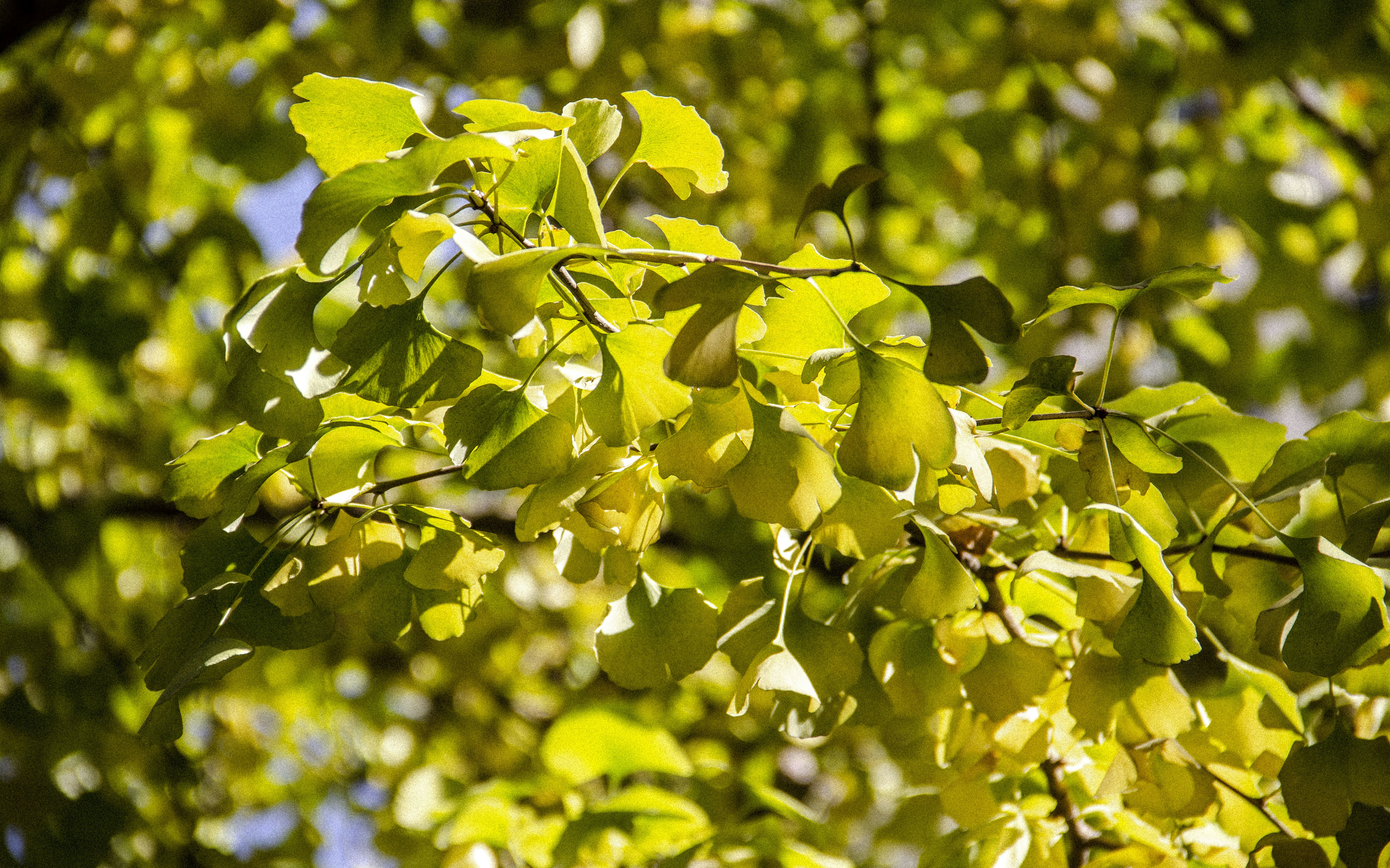 Photo by flow_in_action