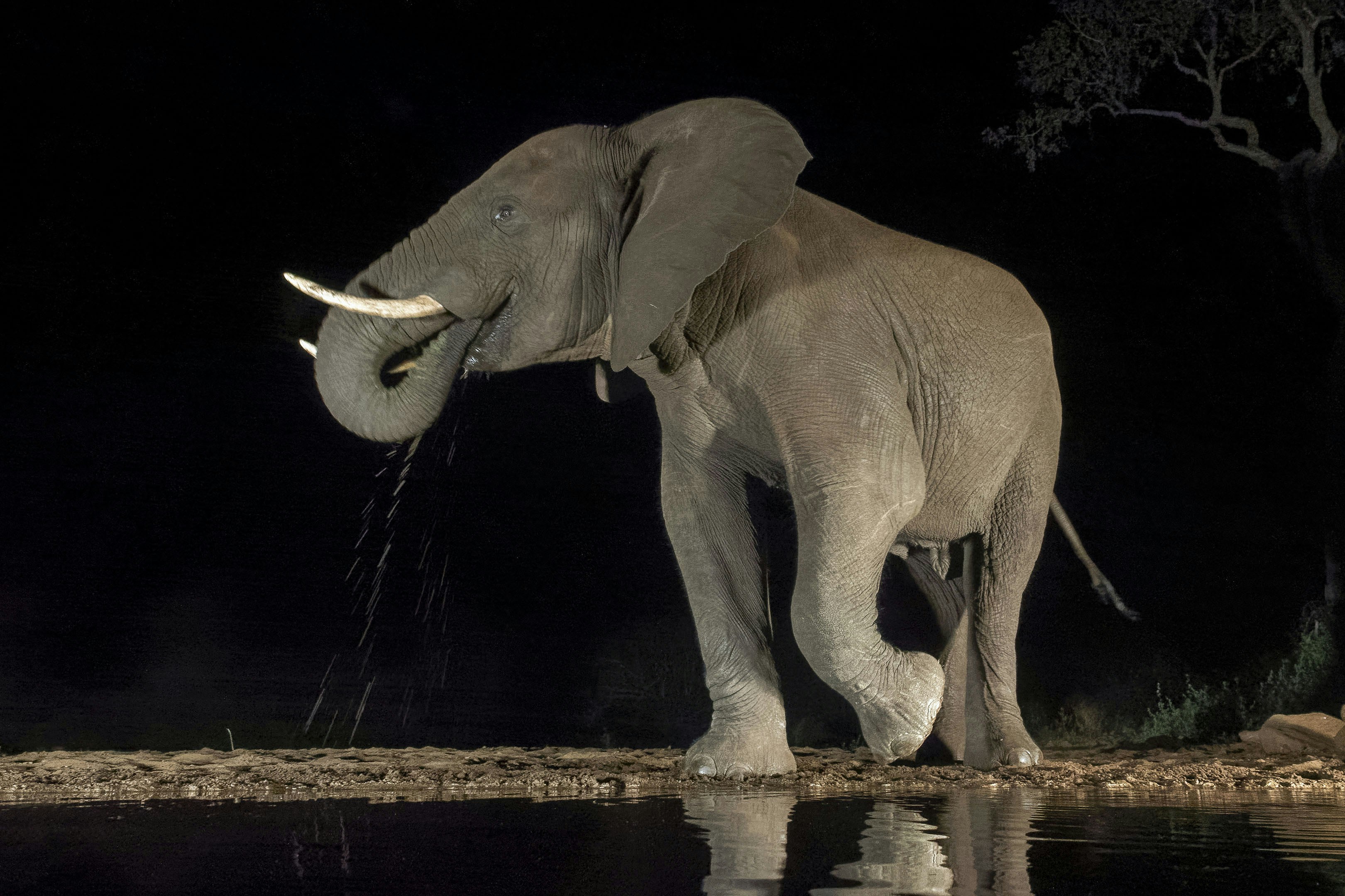 Avoiding Human Conflict Through Strategic Timing (image credits: unsplash)