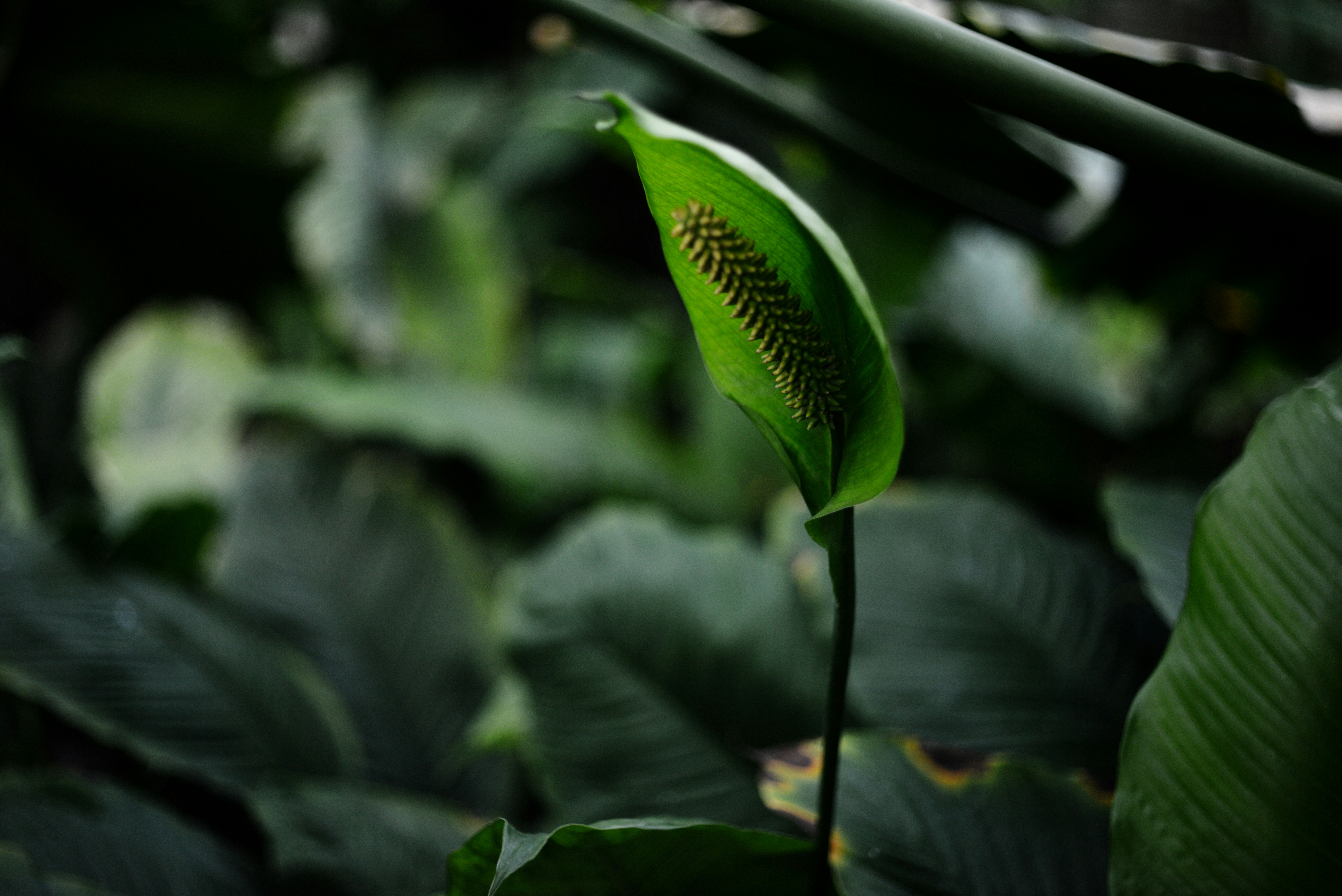 Photo by cherstve_pechivo