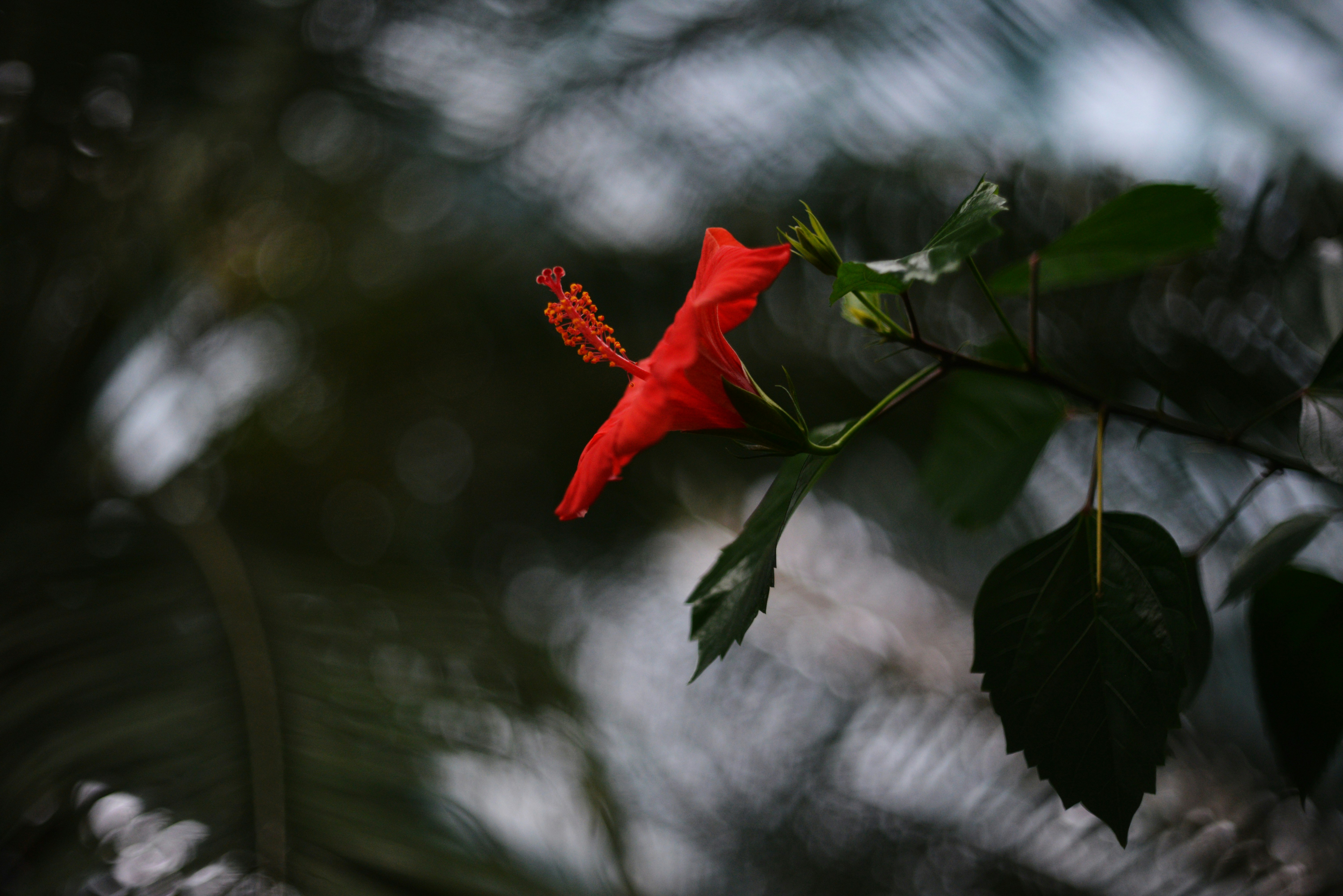 Photo by cherstve_pechivo