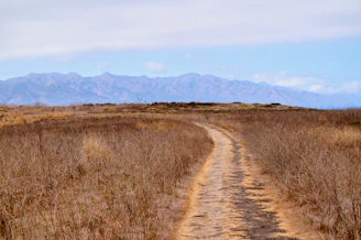 A dirt road in a field with mountains in the background