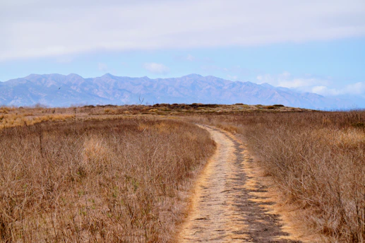 A dirt road in a field with mountains in the background