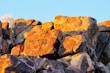 A pile of rocks with a tree in the background