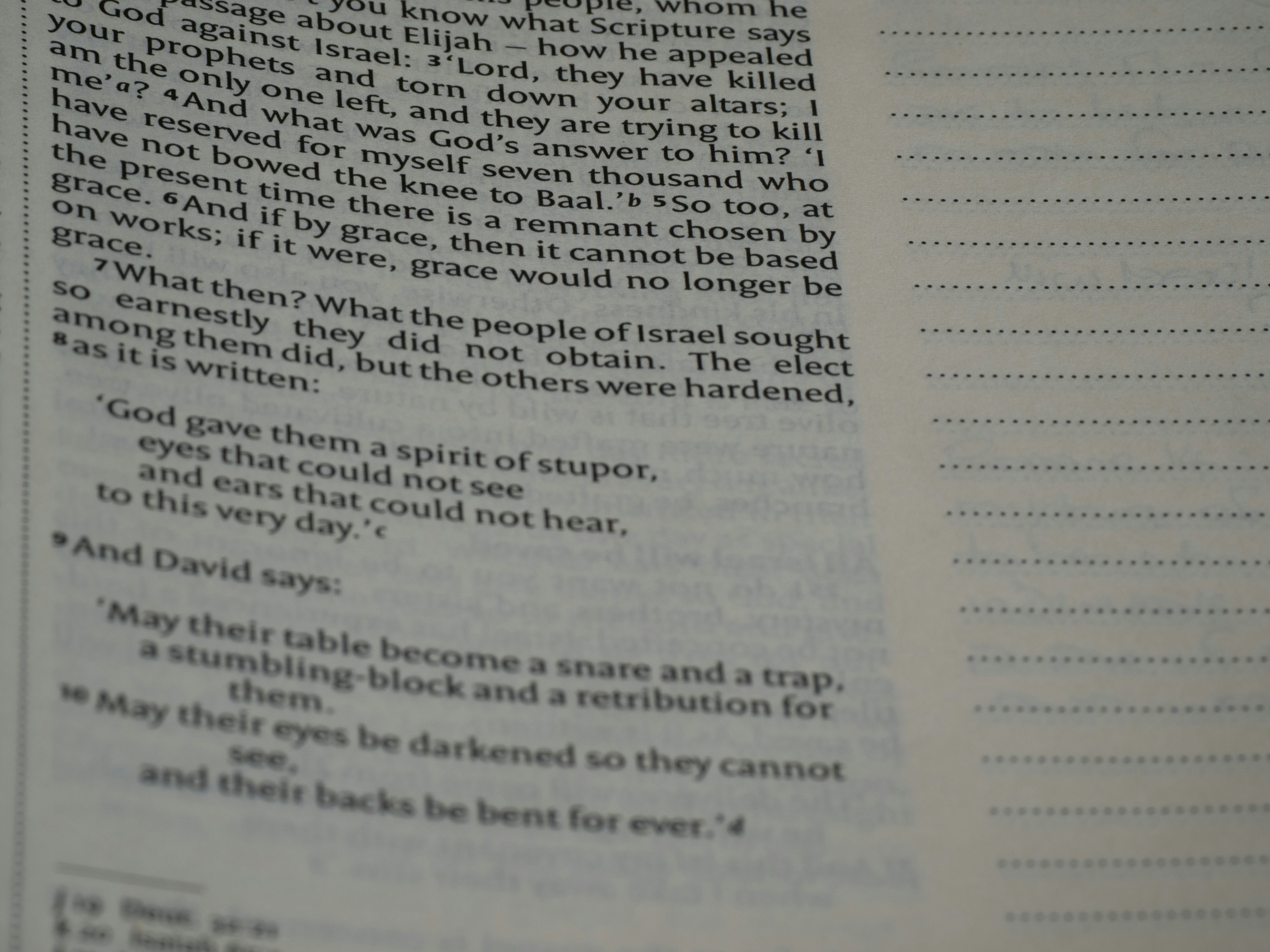 Photo by brett_jordan