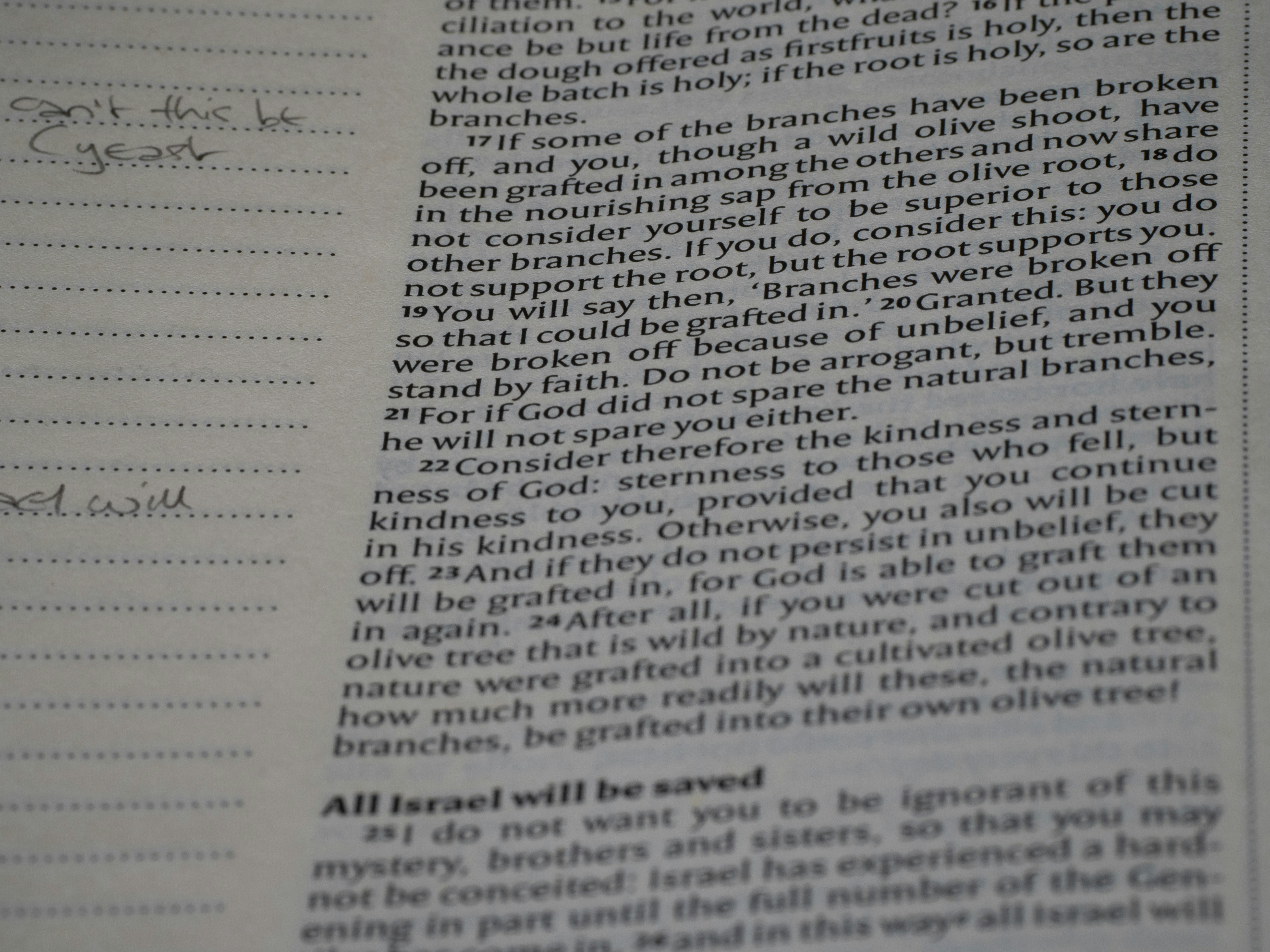 Photo by brett_jordan